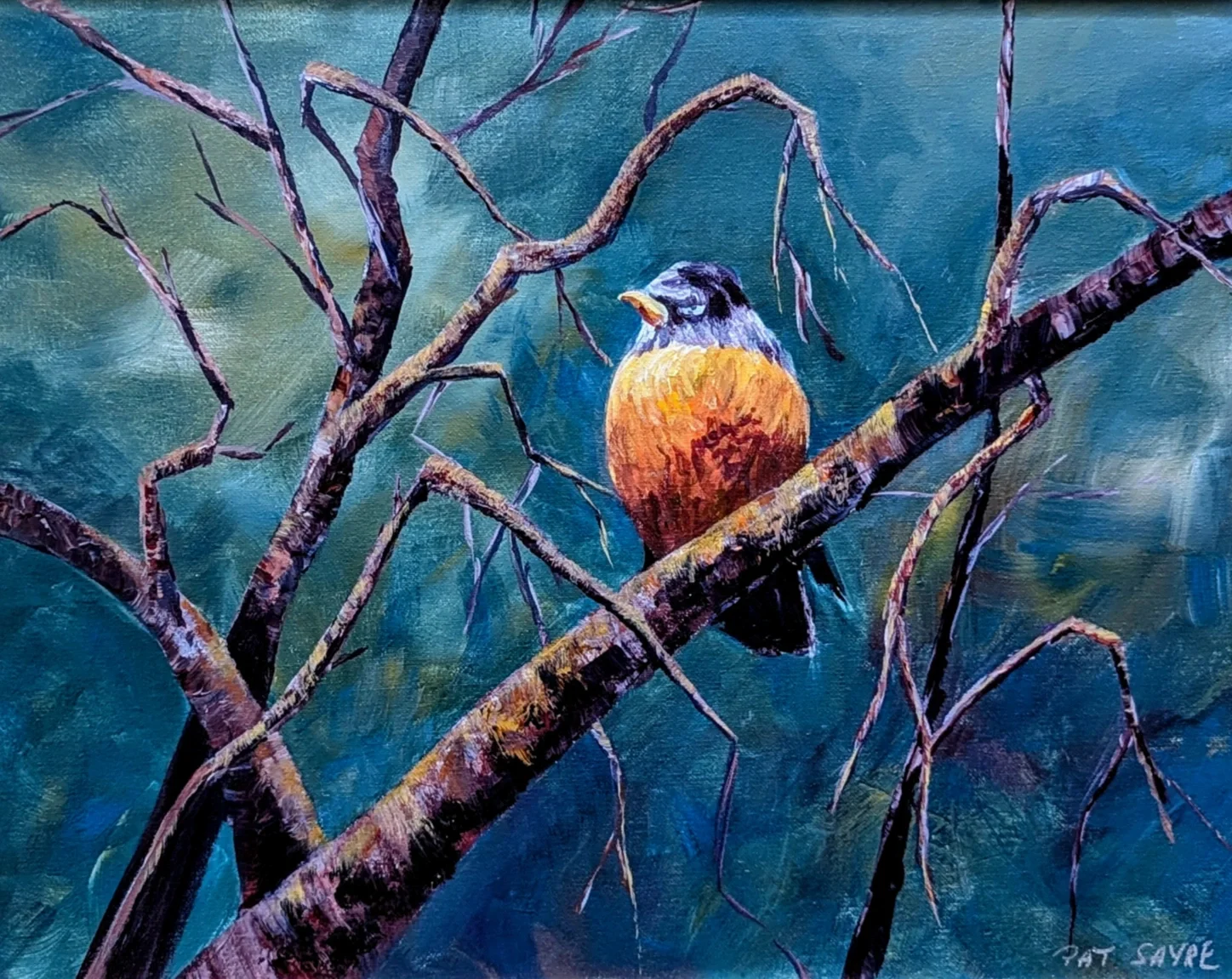 Robin 20 × 16"