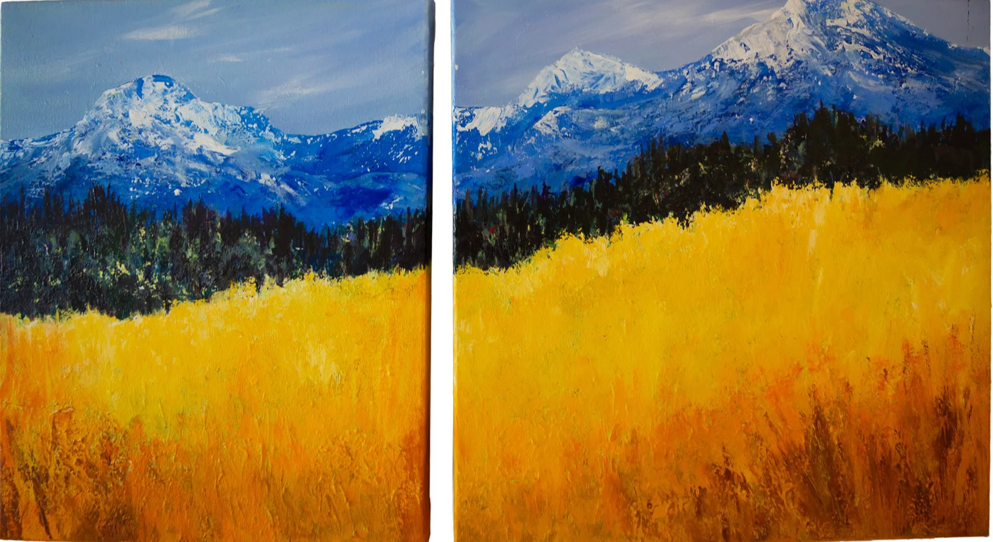 Mountain Meadows Diptych 20 × 20" & 16 × 20"