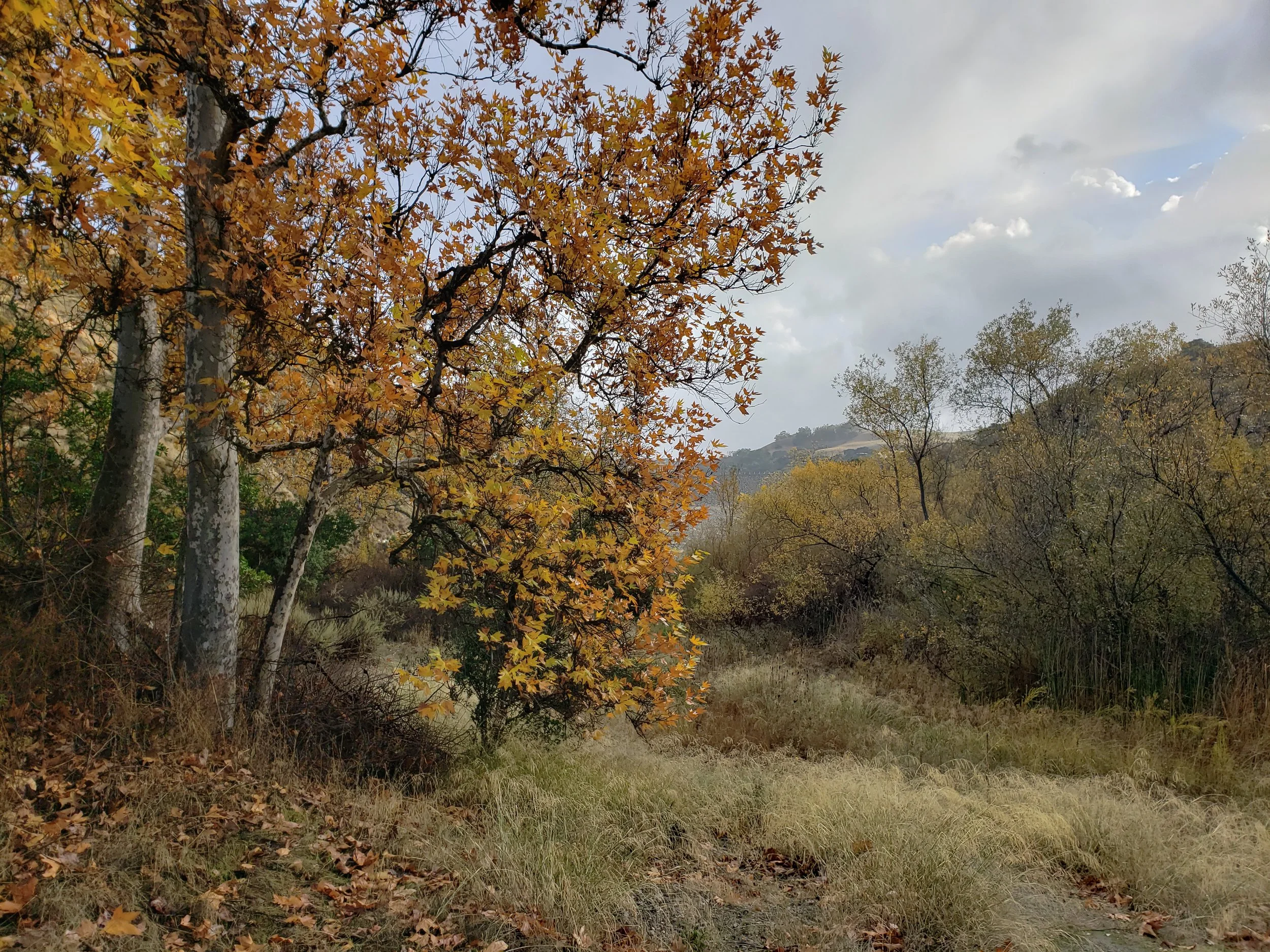 20191208_144847.jpg
