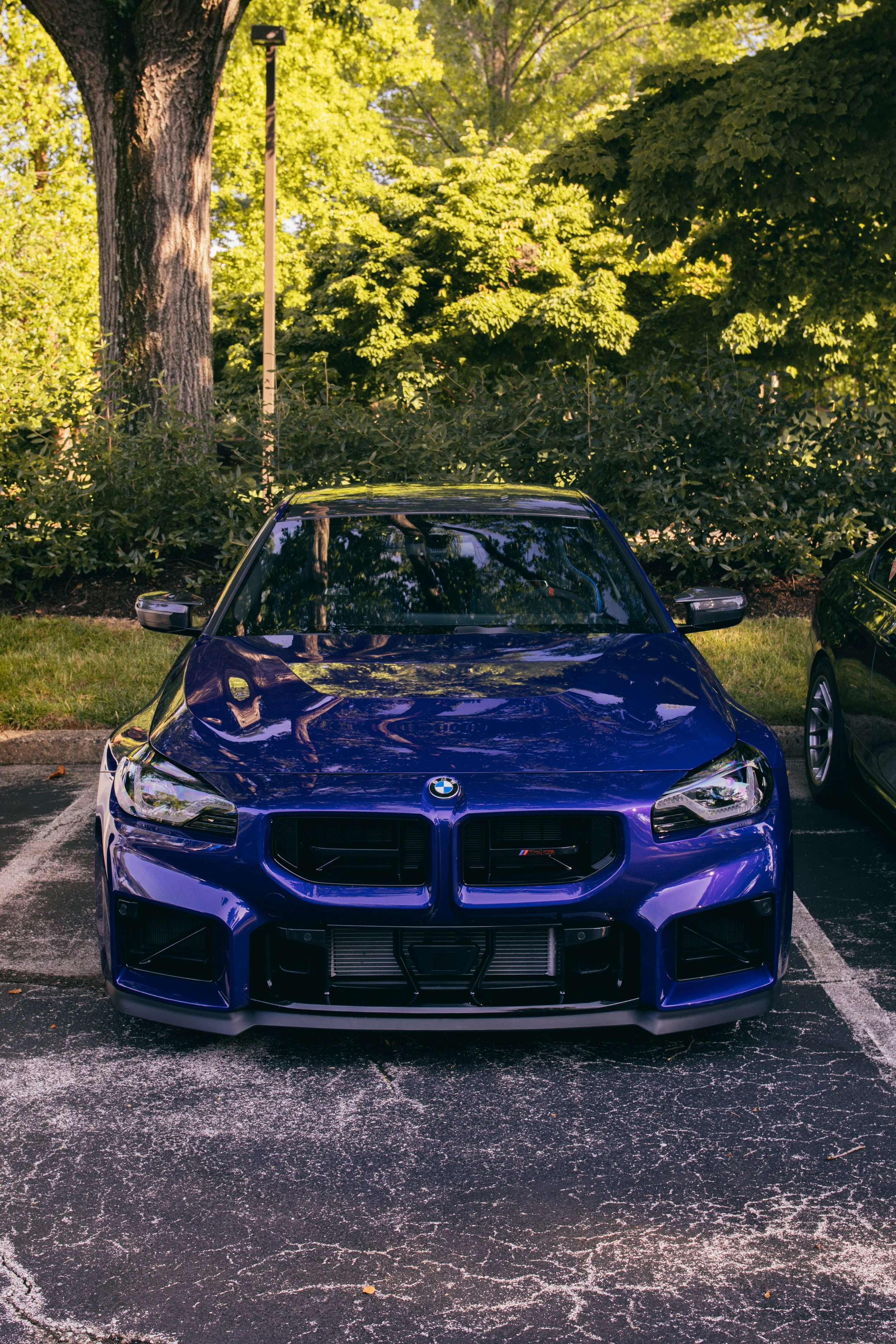 Front view of a blue BMW car parked in a parking lot with greenery and trees in the background.