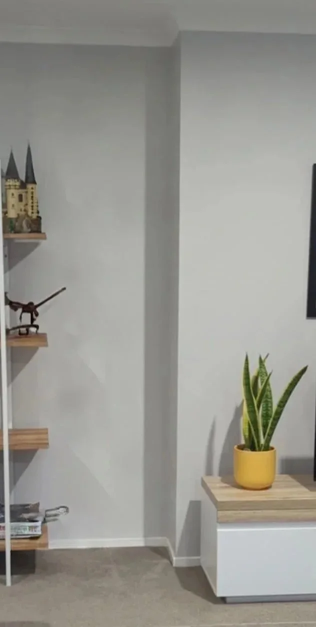Interior of a room showing a corner with a shelving unit on the left, a small model castle on the shelf, a decorative horse figurine, and newspapers. On the right, there is a wooden surface with a yellow pot containing a green snake plant. The wall is painted light gray, and the floor is carpeted.