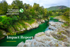 Cover of a report showcasing business editing and proofreading