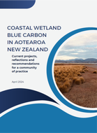 Cover of a report showcasing business editing and proofreading