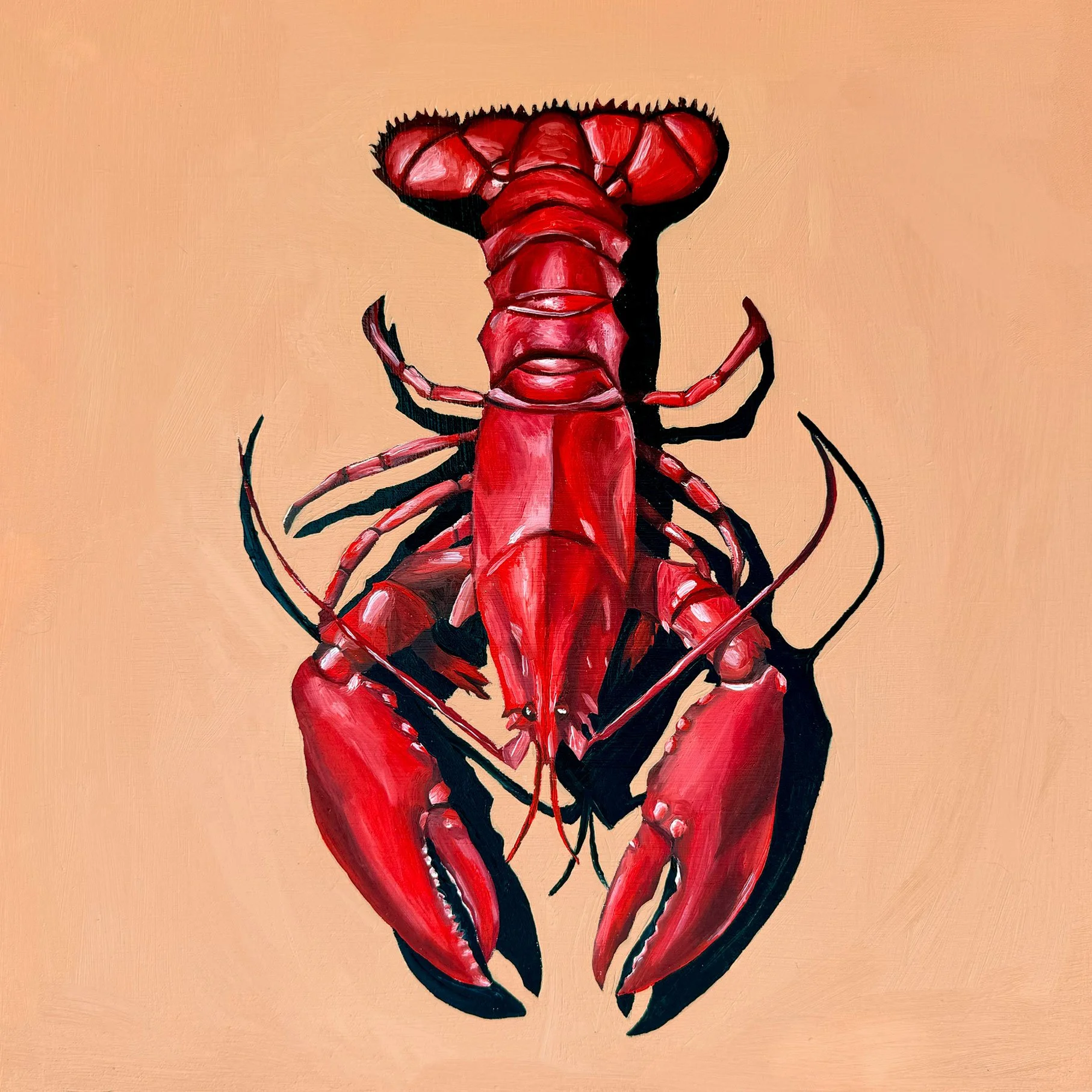 Lobster
12" x 12"
Oil on Panel