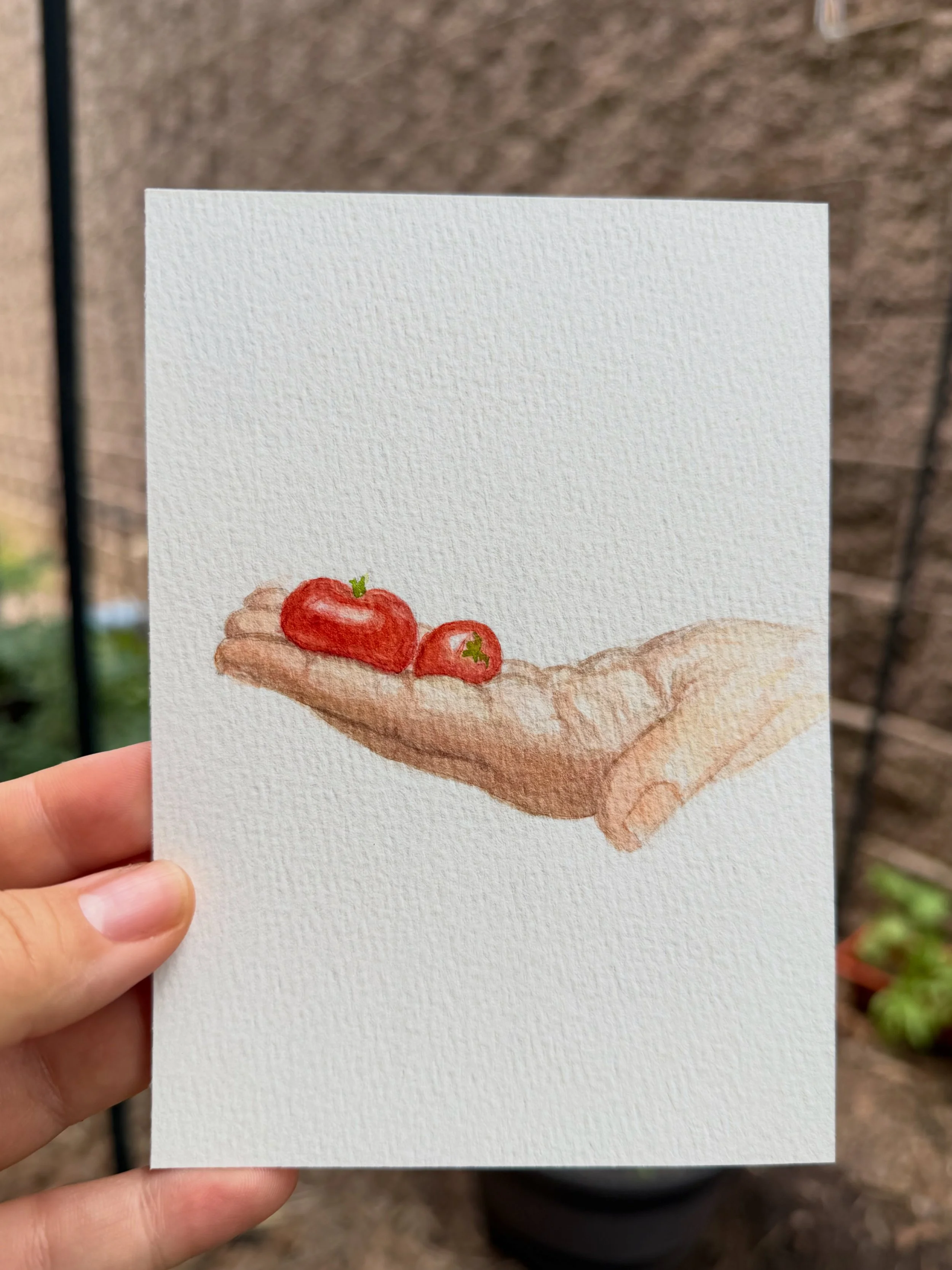 "Backyard Harvest"