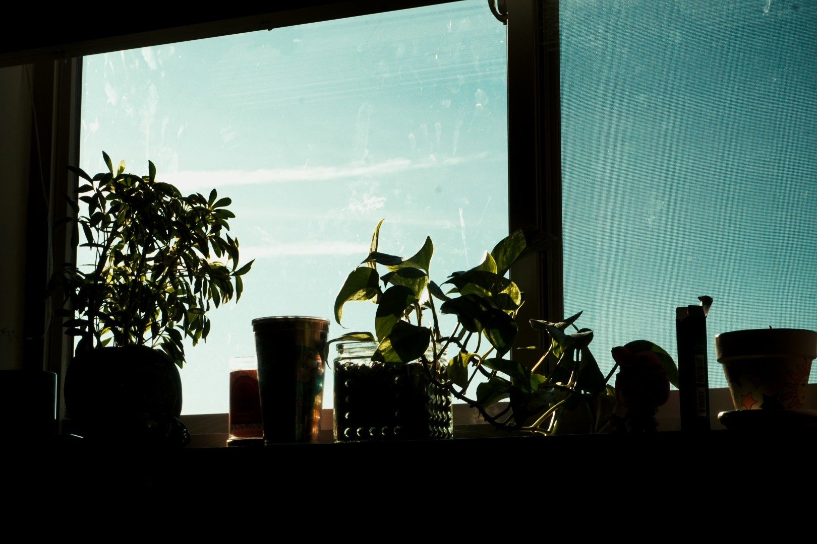 DSC00590_00000000.jpg