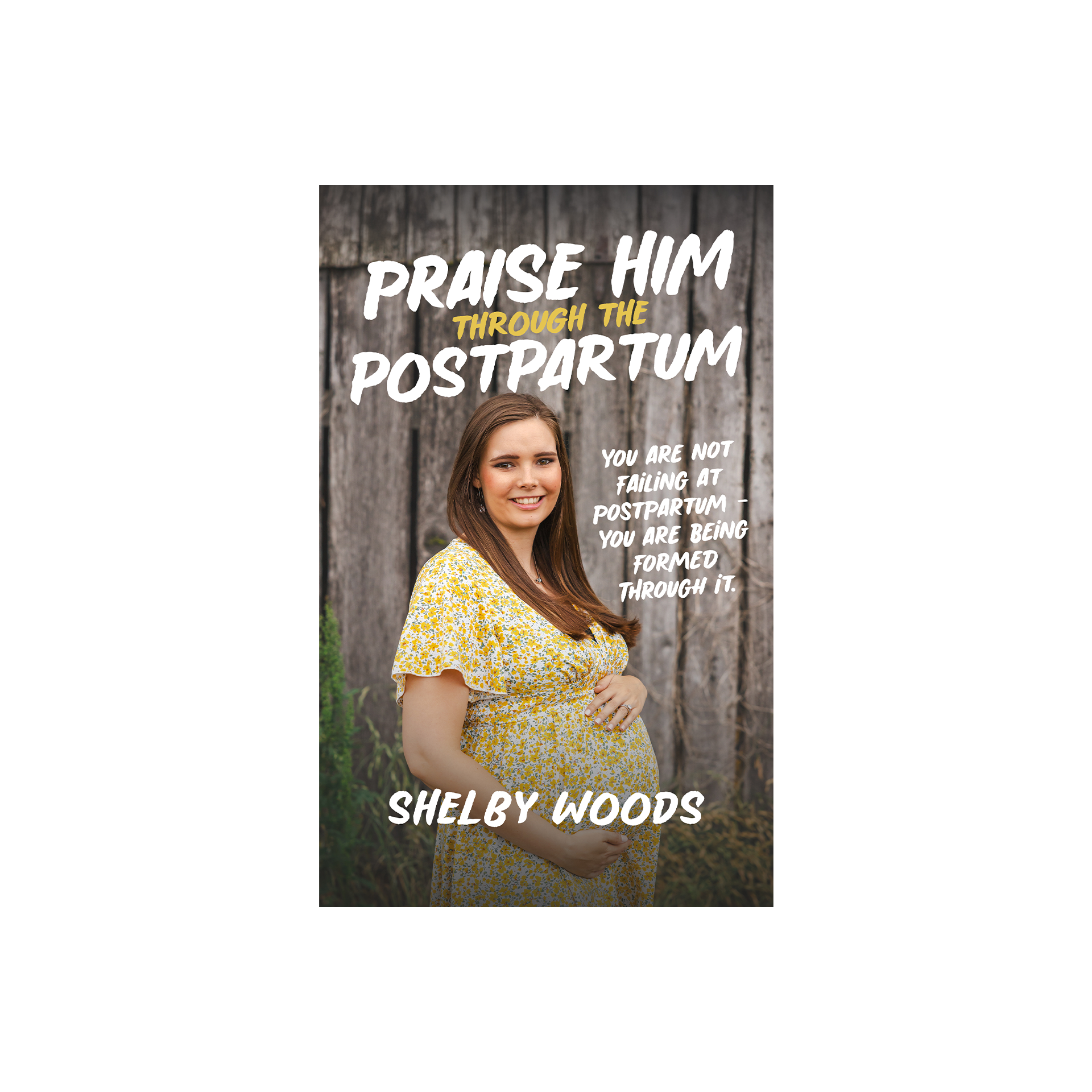 (PAPERBACK) Praise Him Through The Postpartum