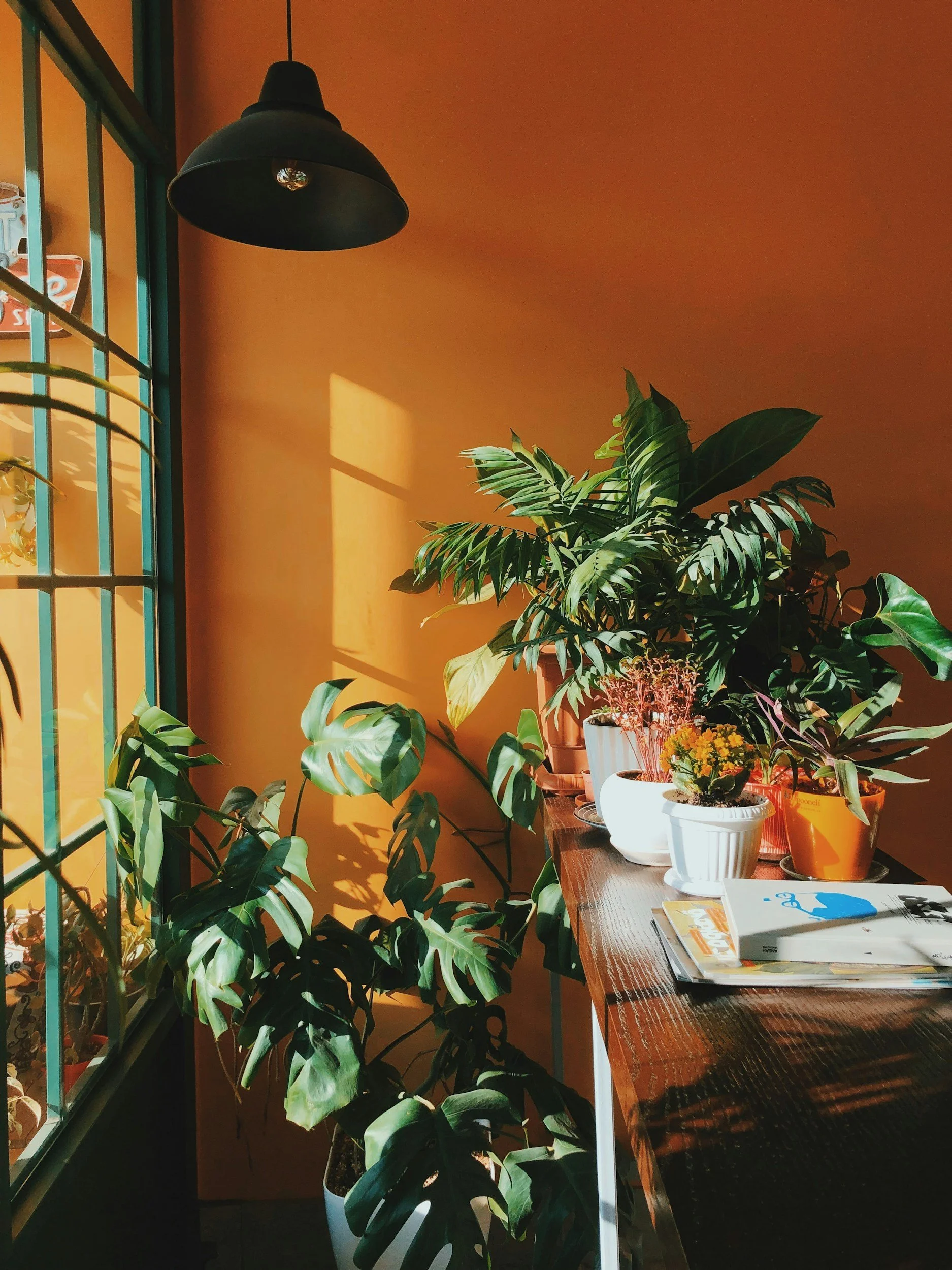 Decoding "Bright Indirect Light" Once and For All