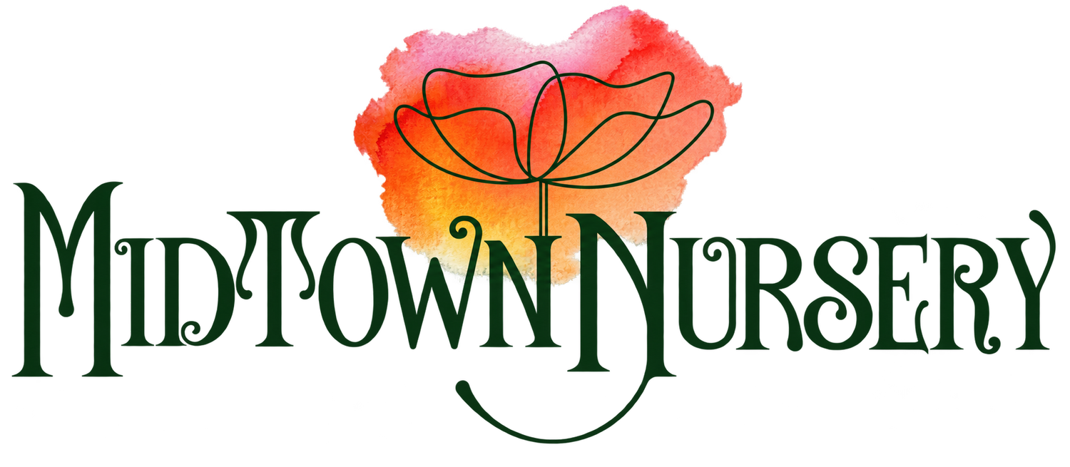 Memphis Midtown Nursery
