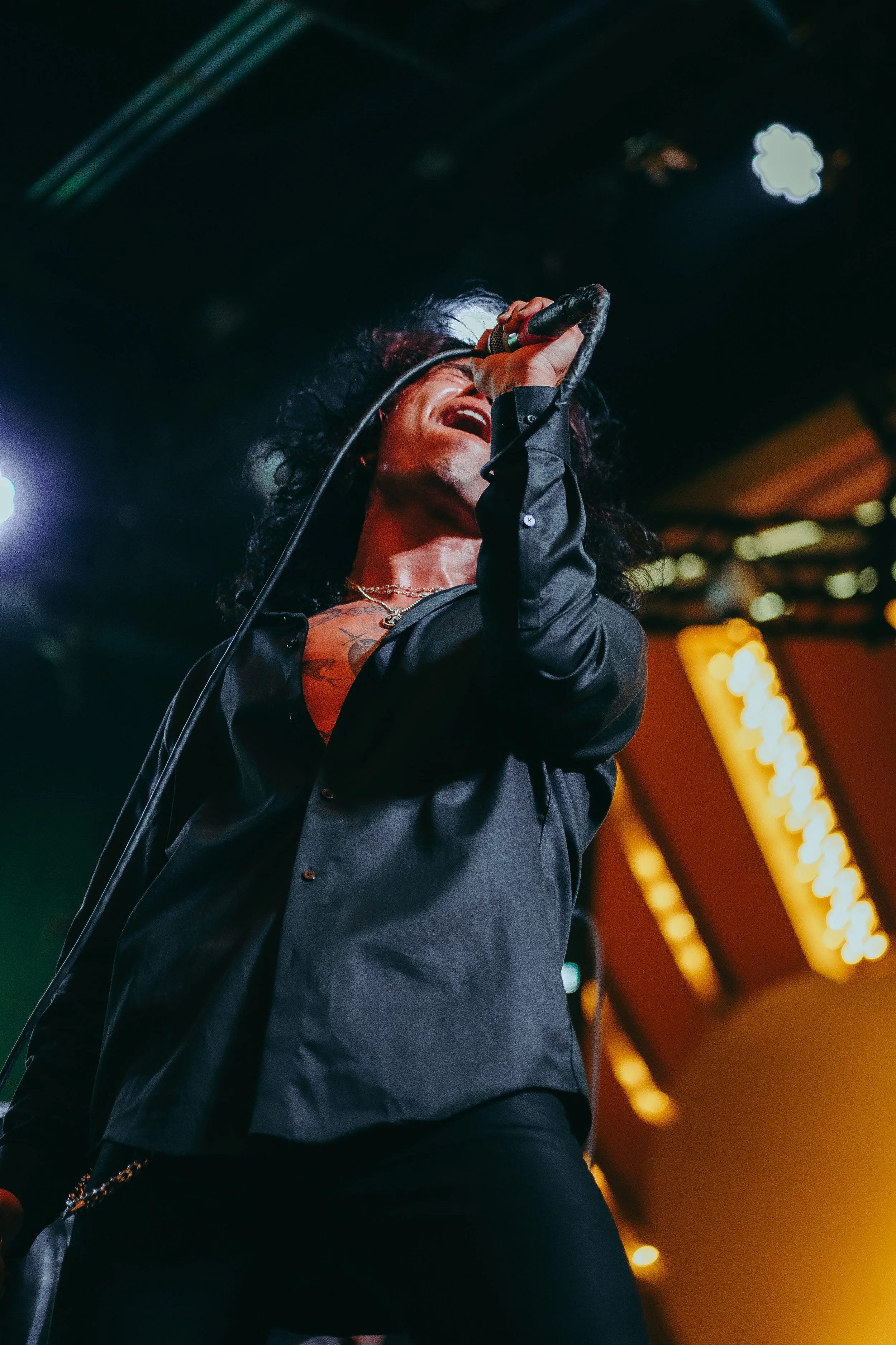 A singer passionately performing on stage, holding a microphone, with dark hair and wearing black clothing, illuminated by stage lights.
