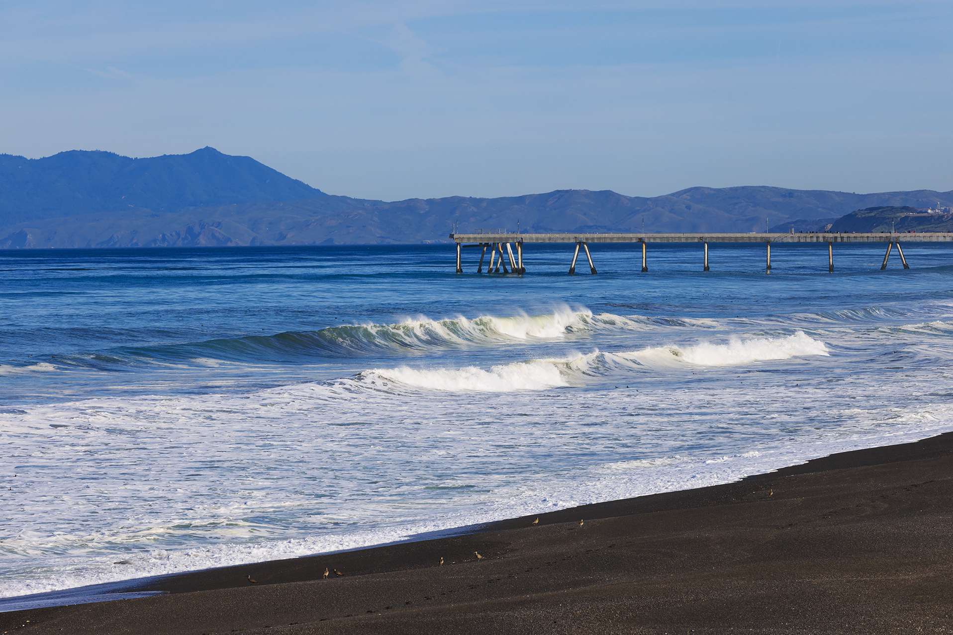 Marin Point 2026 3O5A6636-2.png