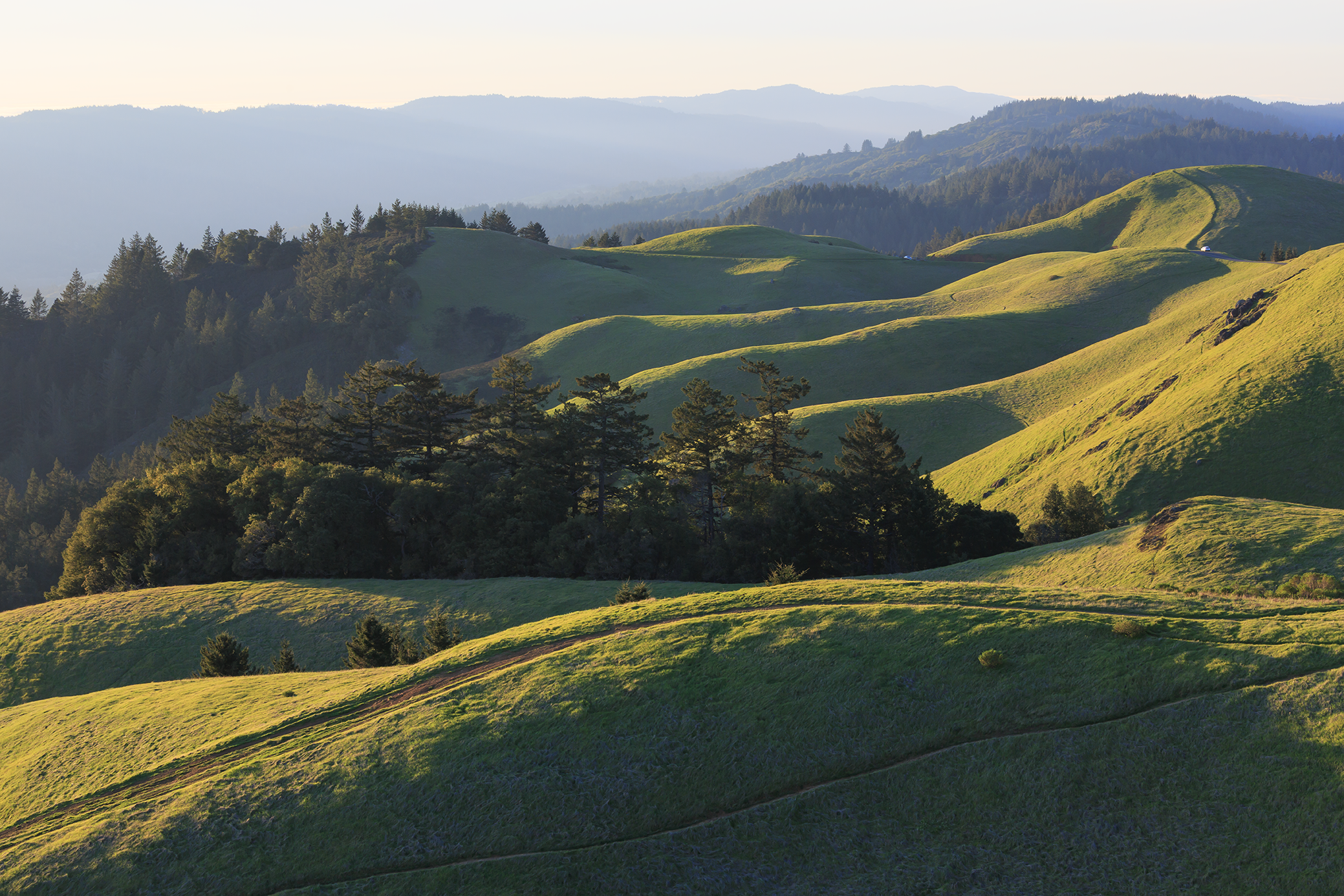 Bolinas Green VA9A6907.png