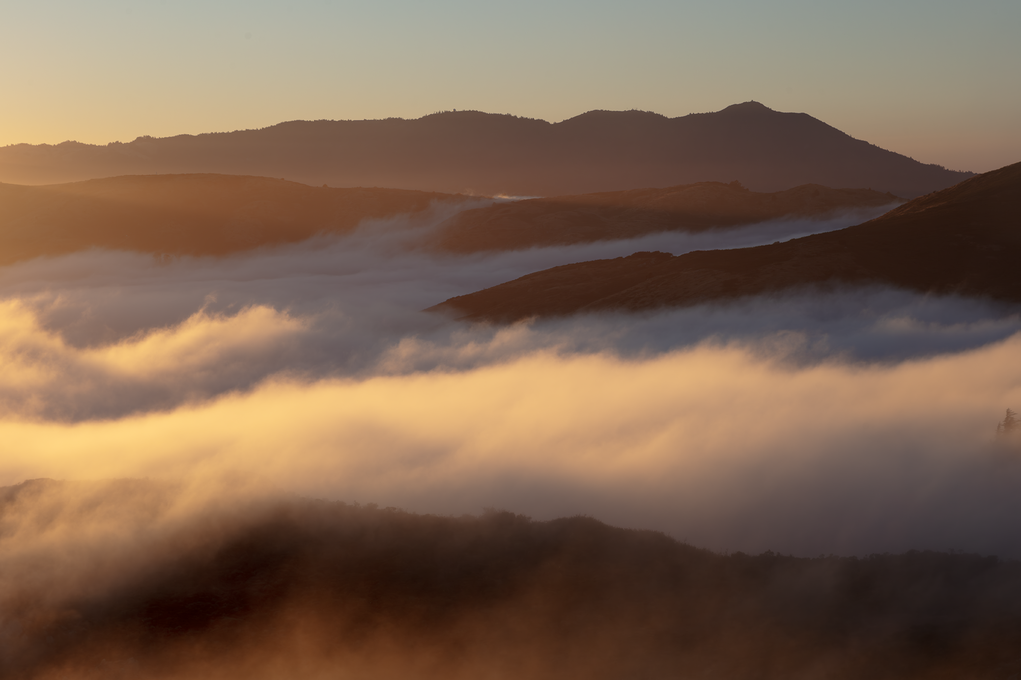 MT. Tam from Headands 046A1603-Enhanced-NR.png
