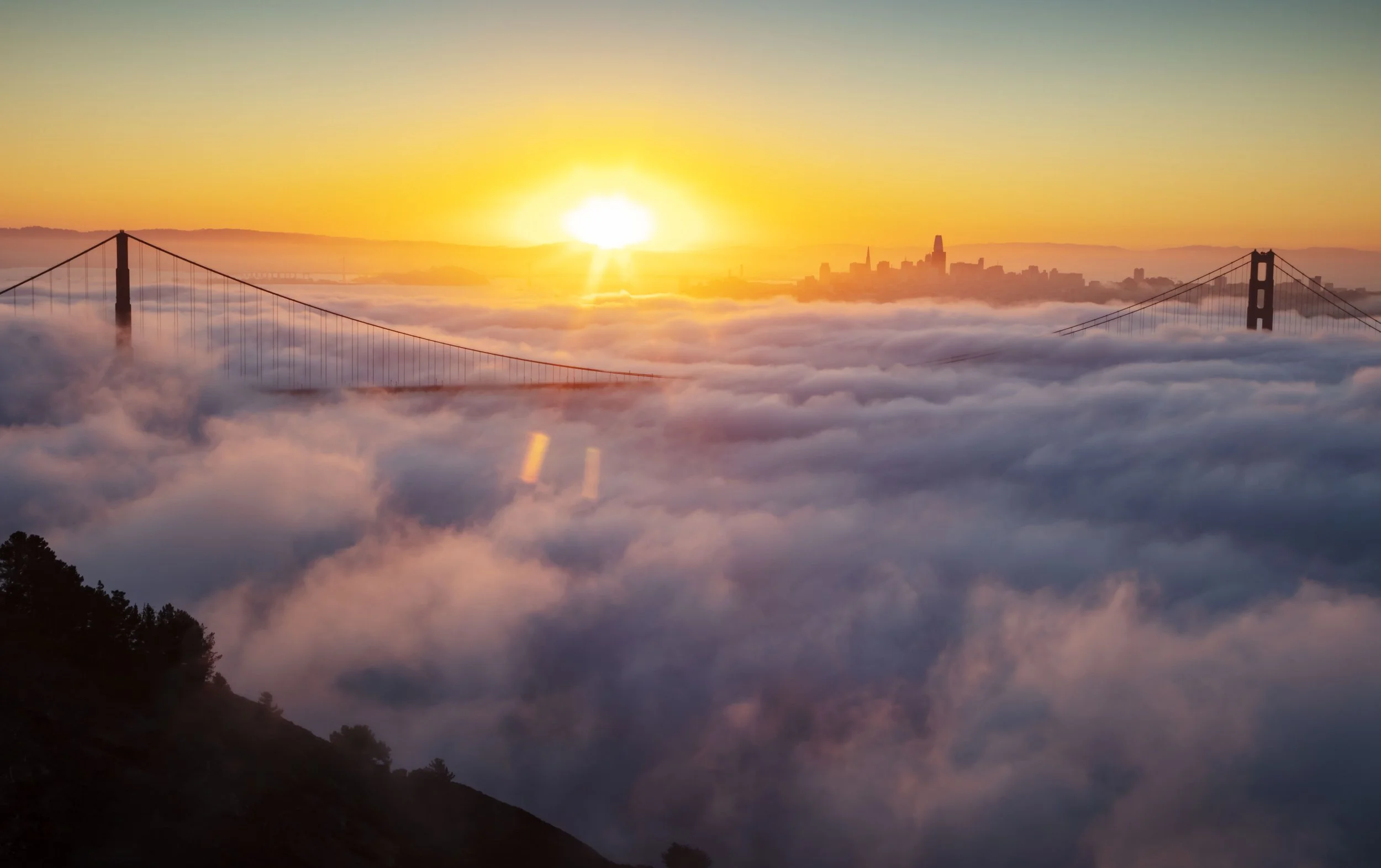 summer fog046A2347.jpg