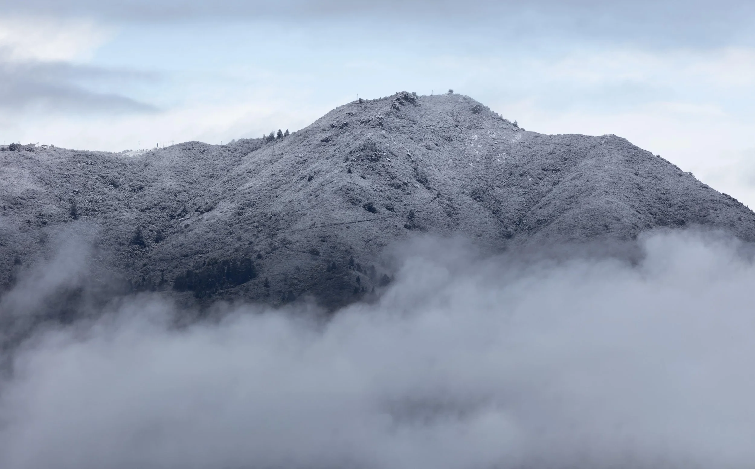 Mt. Tam snow 2023 046A0186.jpg