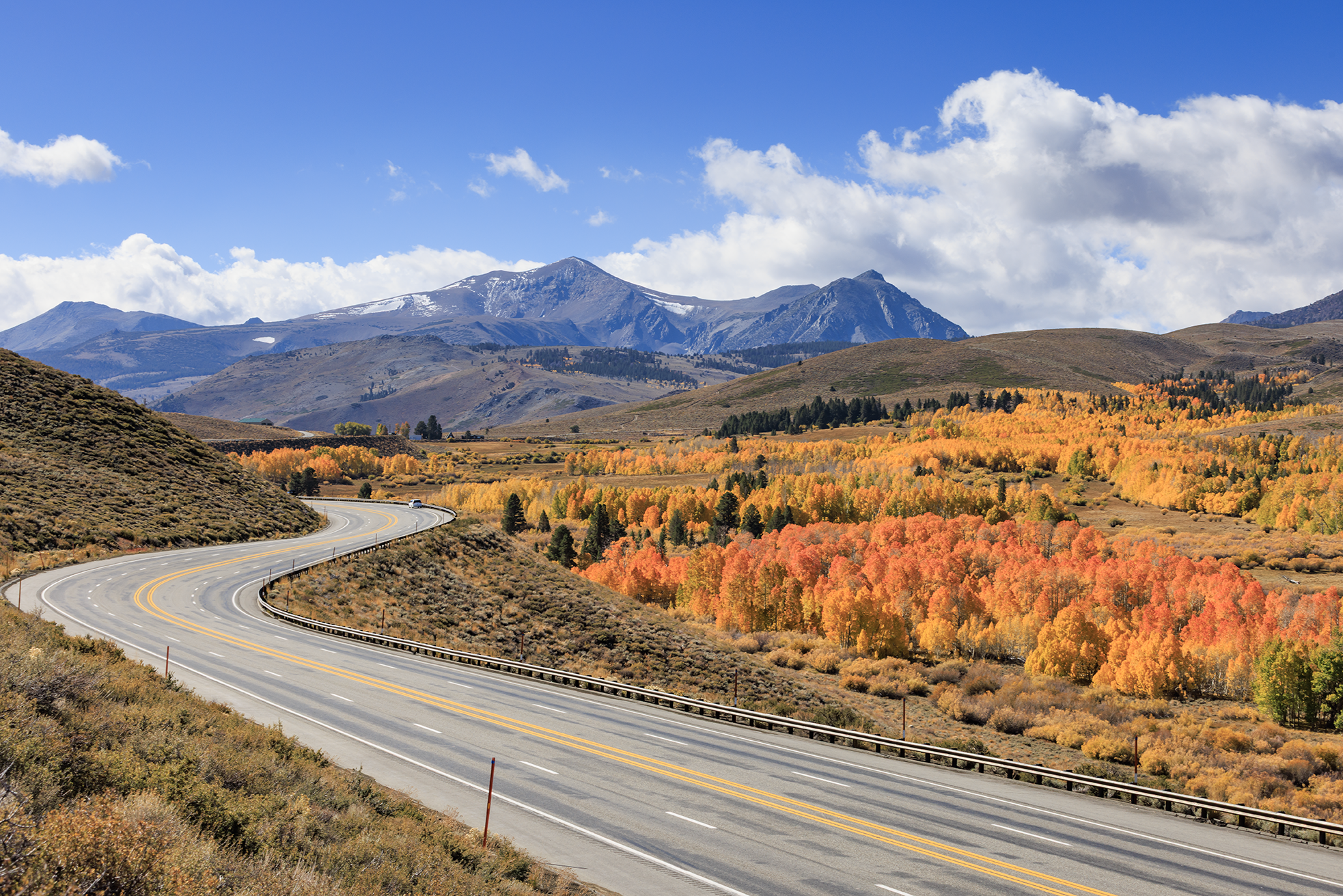 fall color 2025 3O5A2096.png
