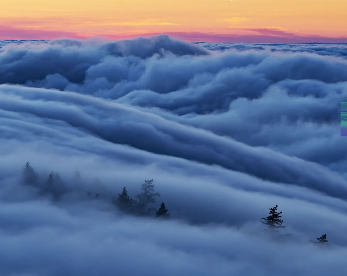 Fog wave.jpg