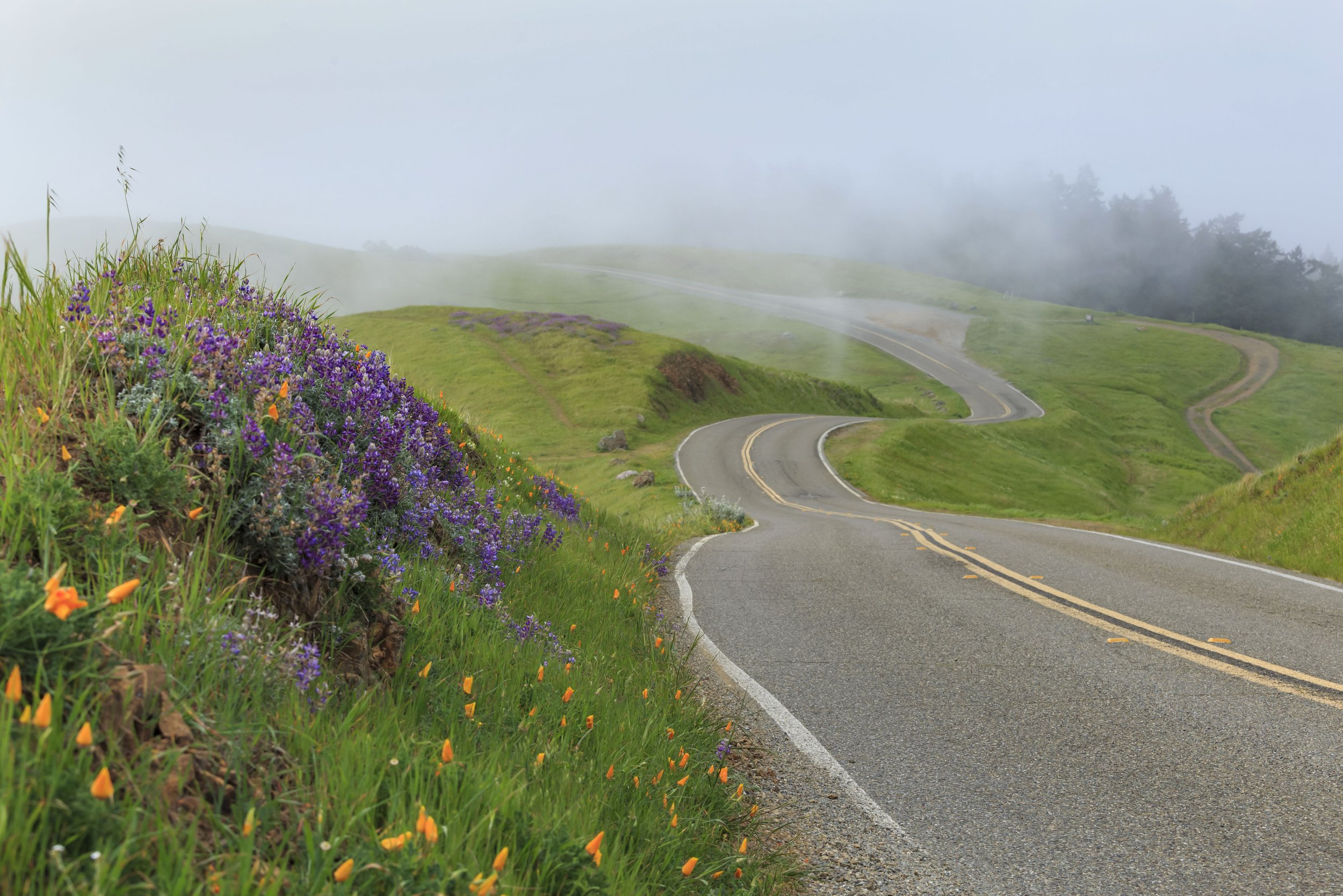 Mount Flower IMG_4349.jpg2.jpg
