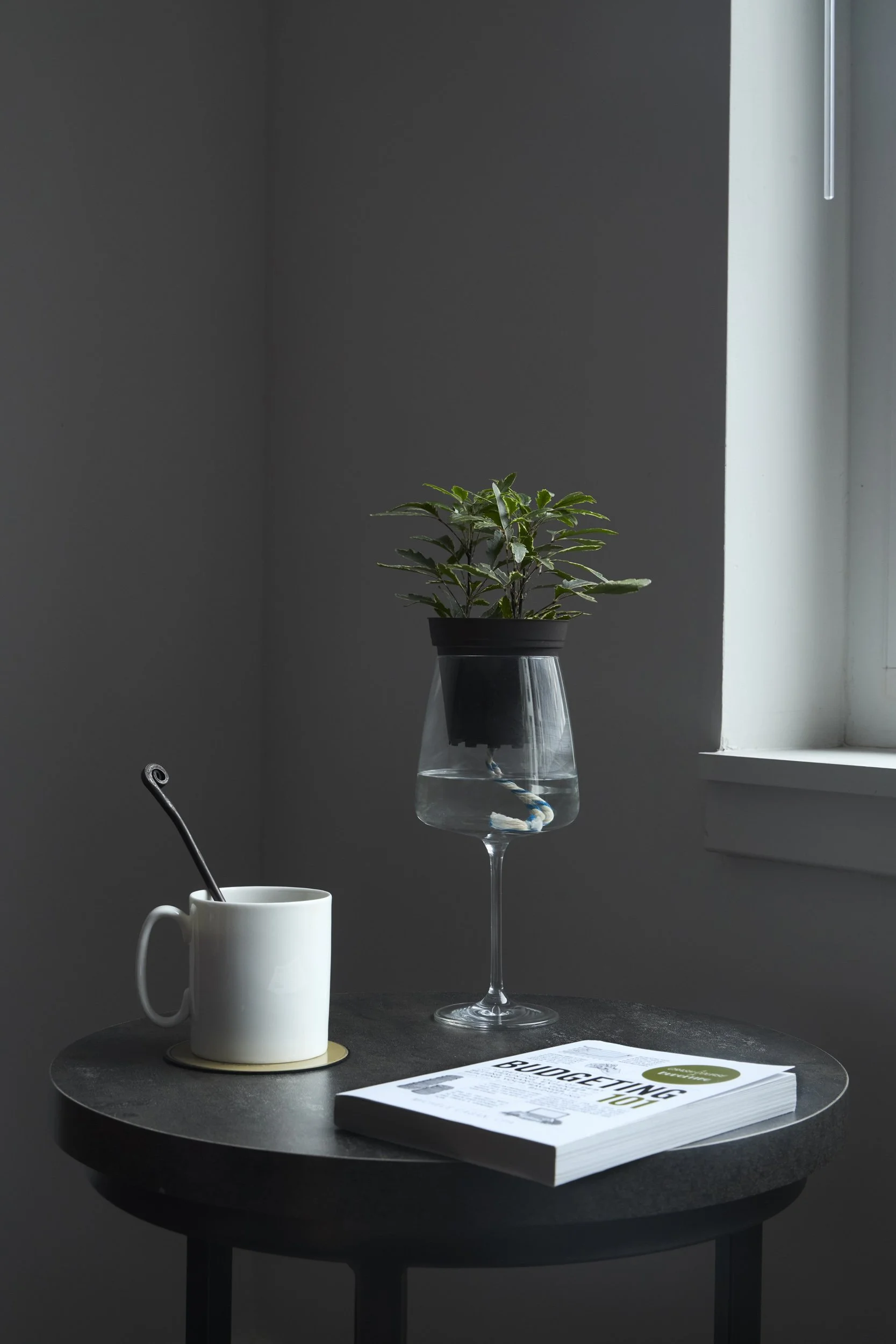 Wine_Plant.jpg