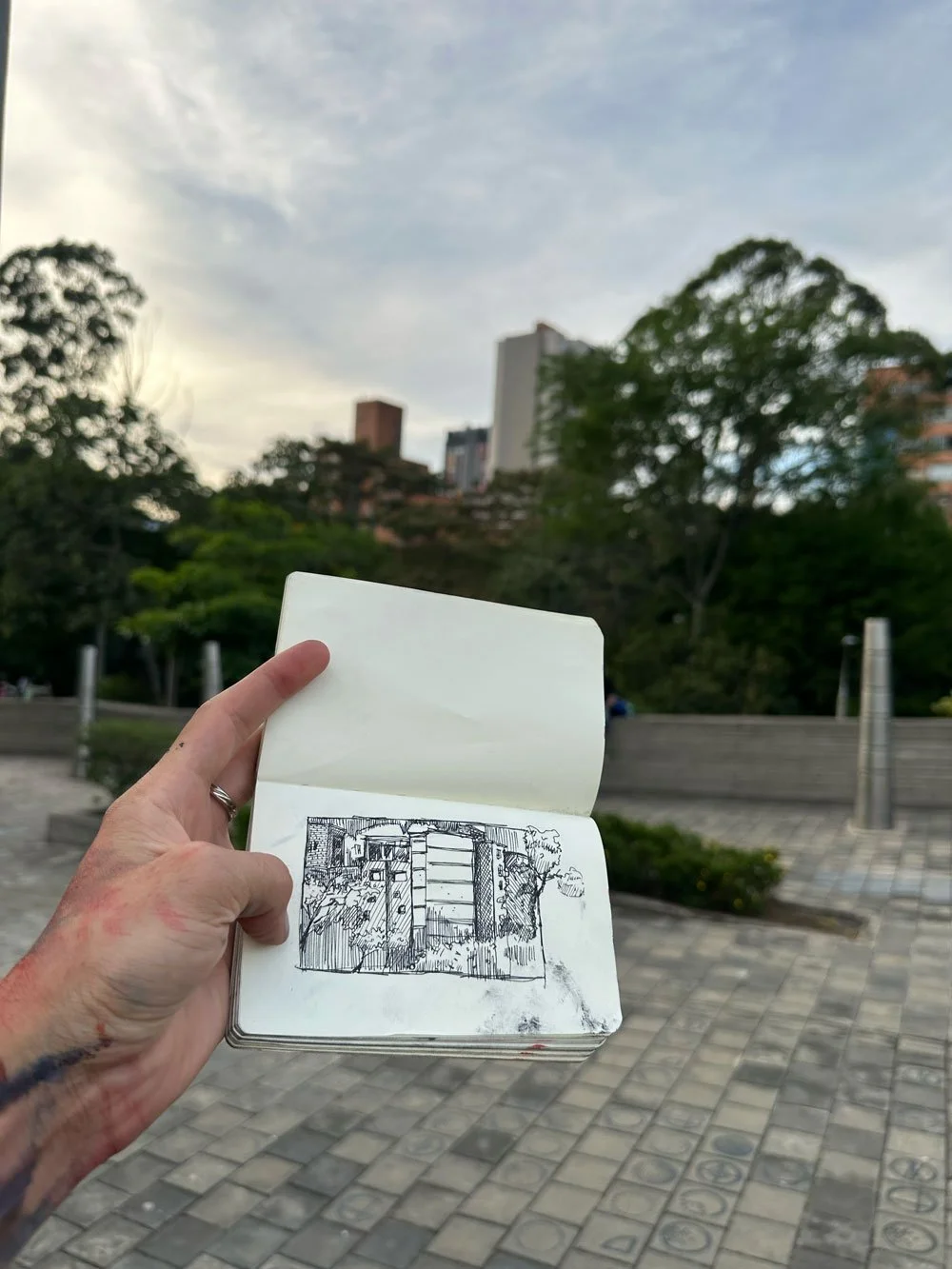 Dibujo rápido