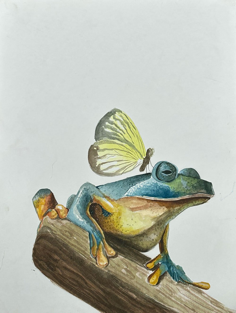Nada incomoda 21,5 x 28 cm