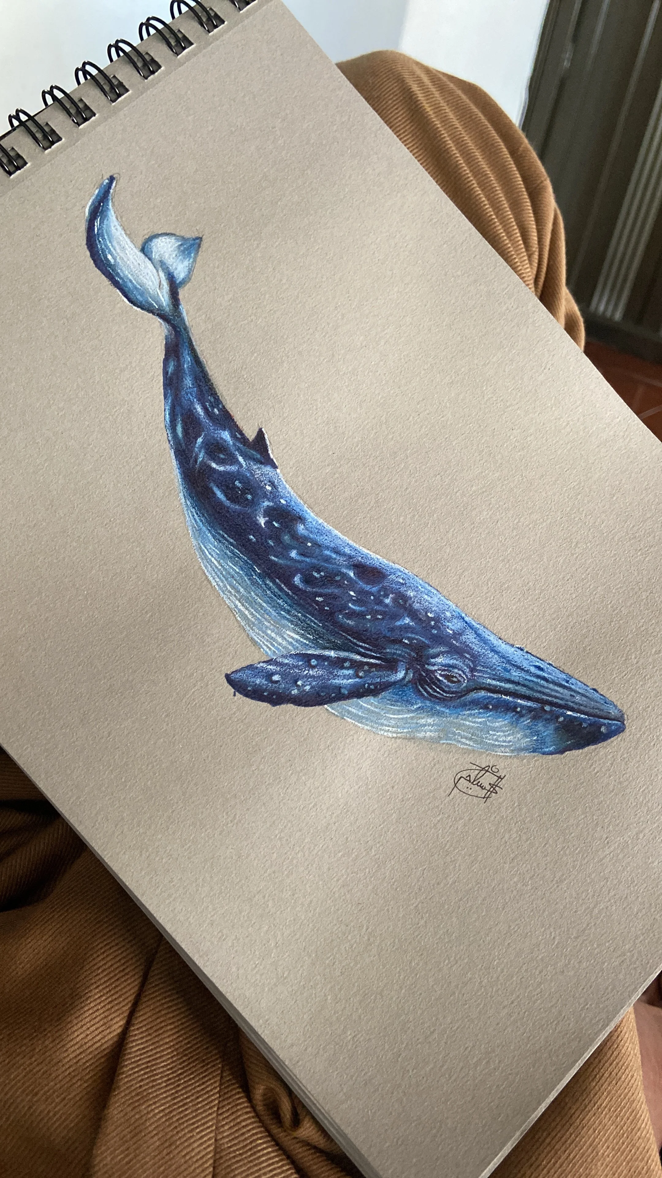 Ballena (Lápices de colores)