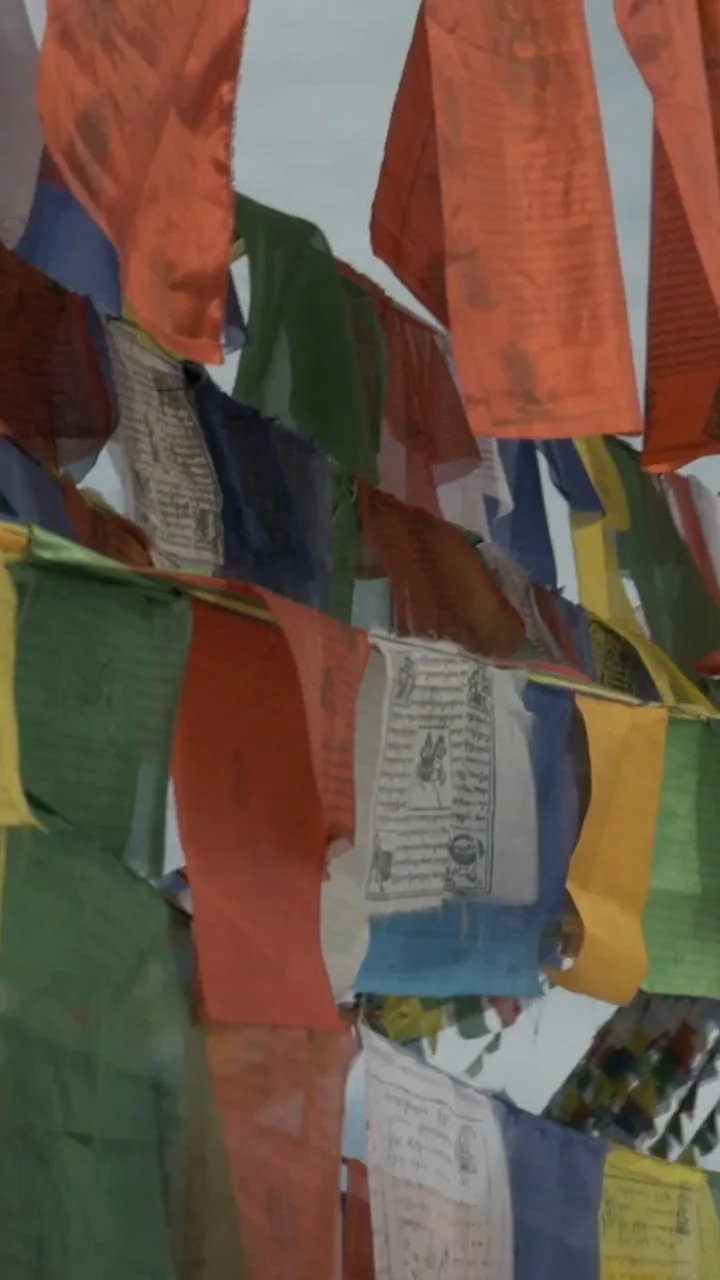 dharma_immersions_portada_mobile_v2.jpg
