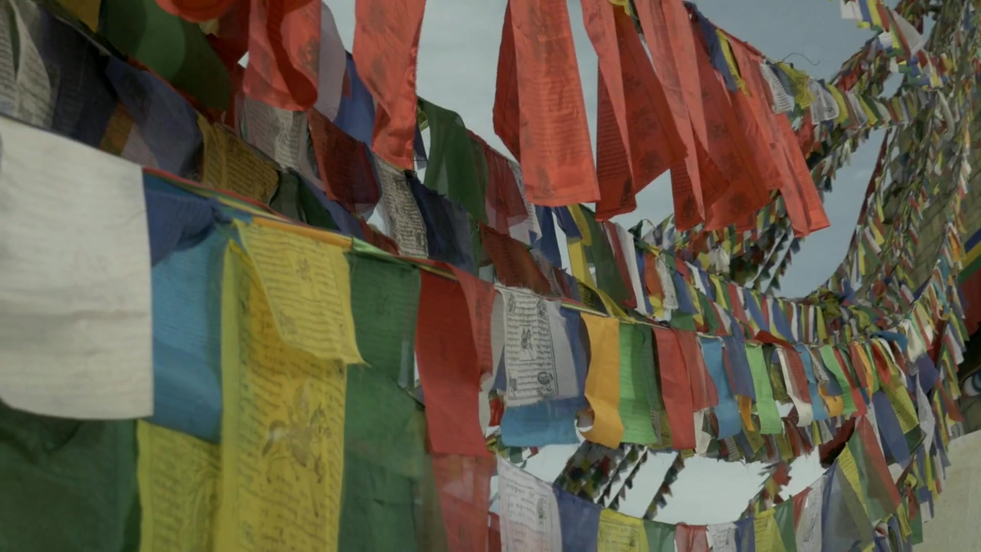 dharma_immersions_fallback_v4_exact_firstframe_1920x1080.jpg
