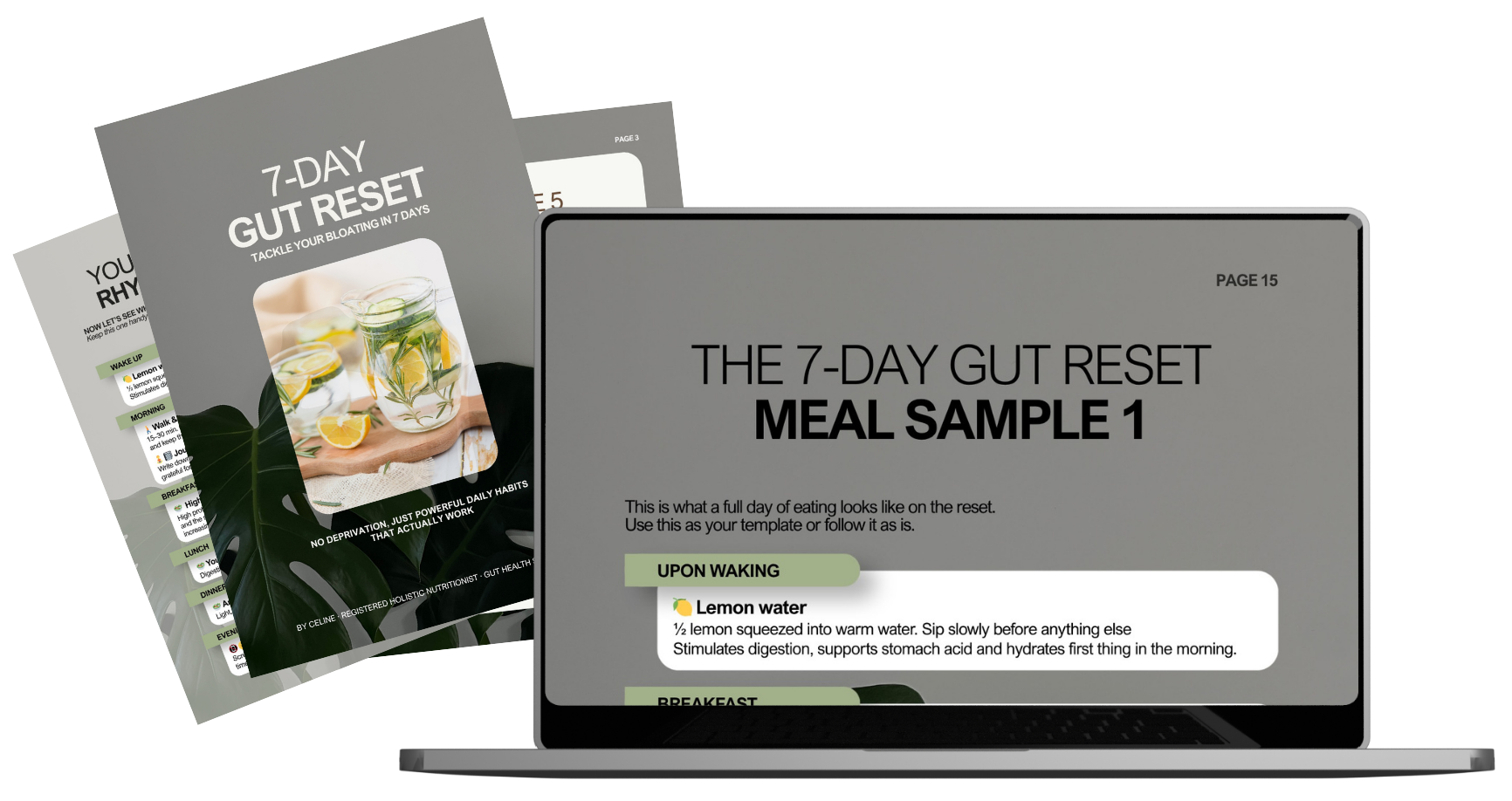 Image shows multiple pages of a digital guide titled "The 7-Day Gut Reset Meal Sample 1" with a section on 'upon waking' recommending lemon water, featuring a photograph of lemon slices in water. The pages include meal suggestions and tips for a gut reset program.