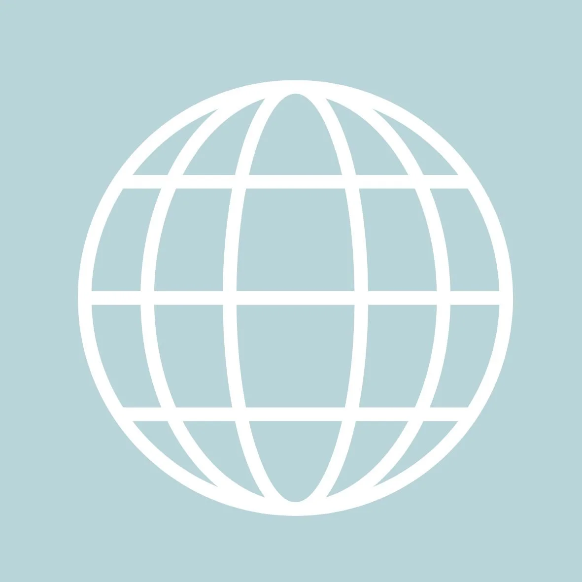International Business Experience