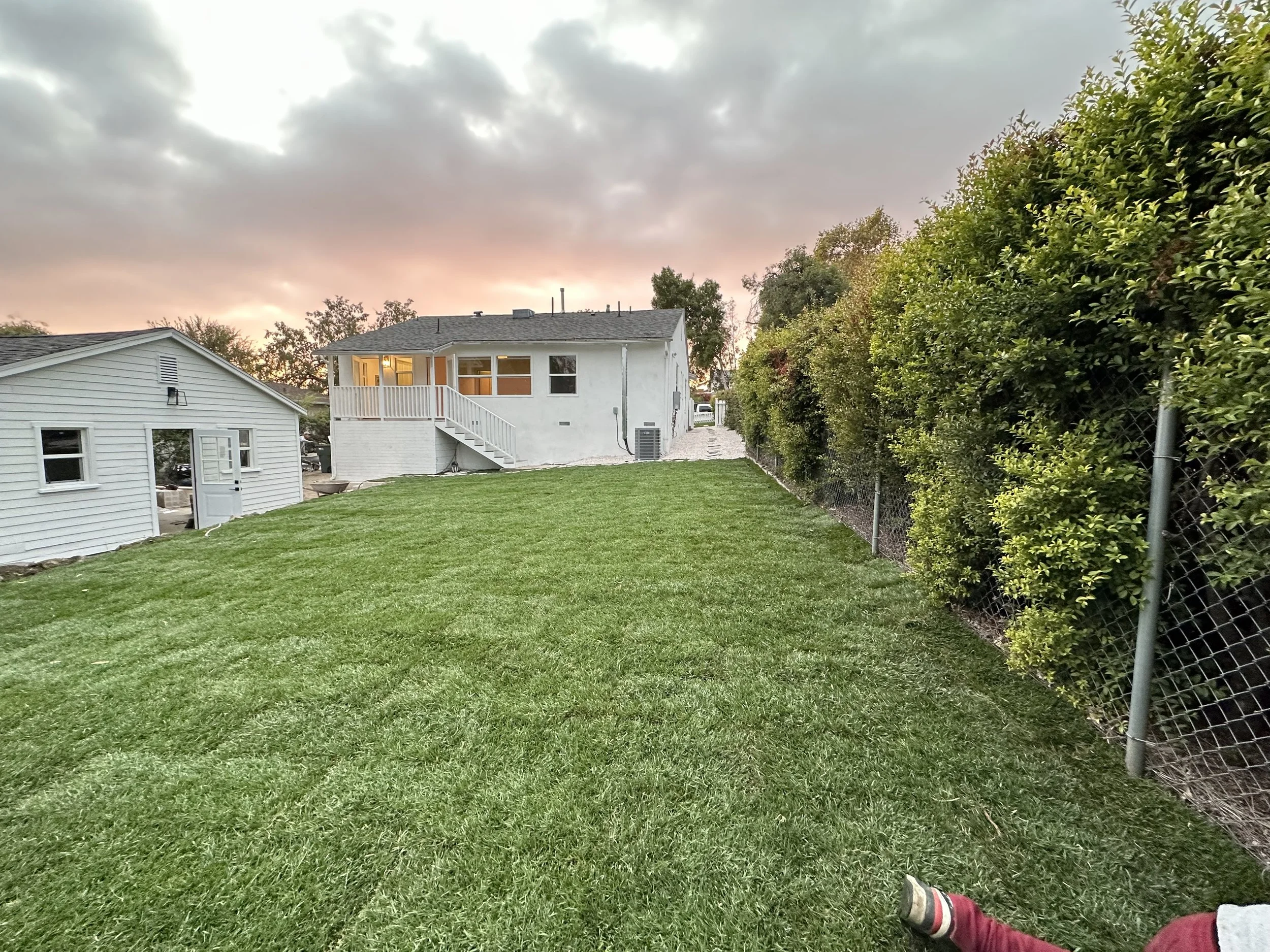 A backyard with a green lawn, a white house with stairs, a green hedge, a fence, and a sky with clouds at sunset.