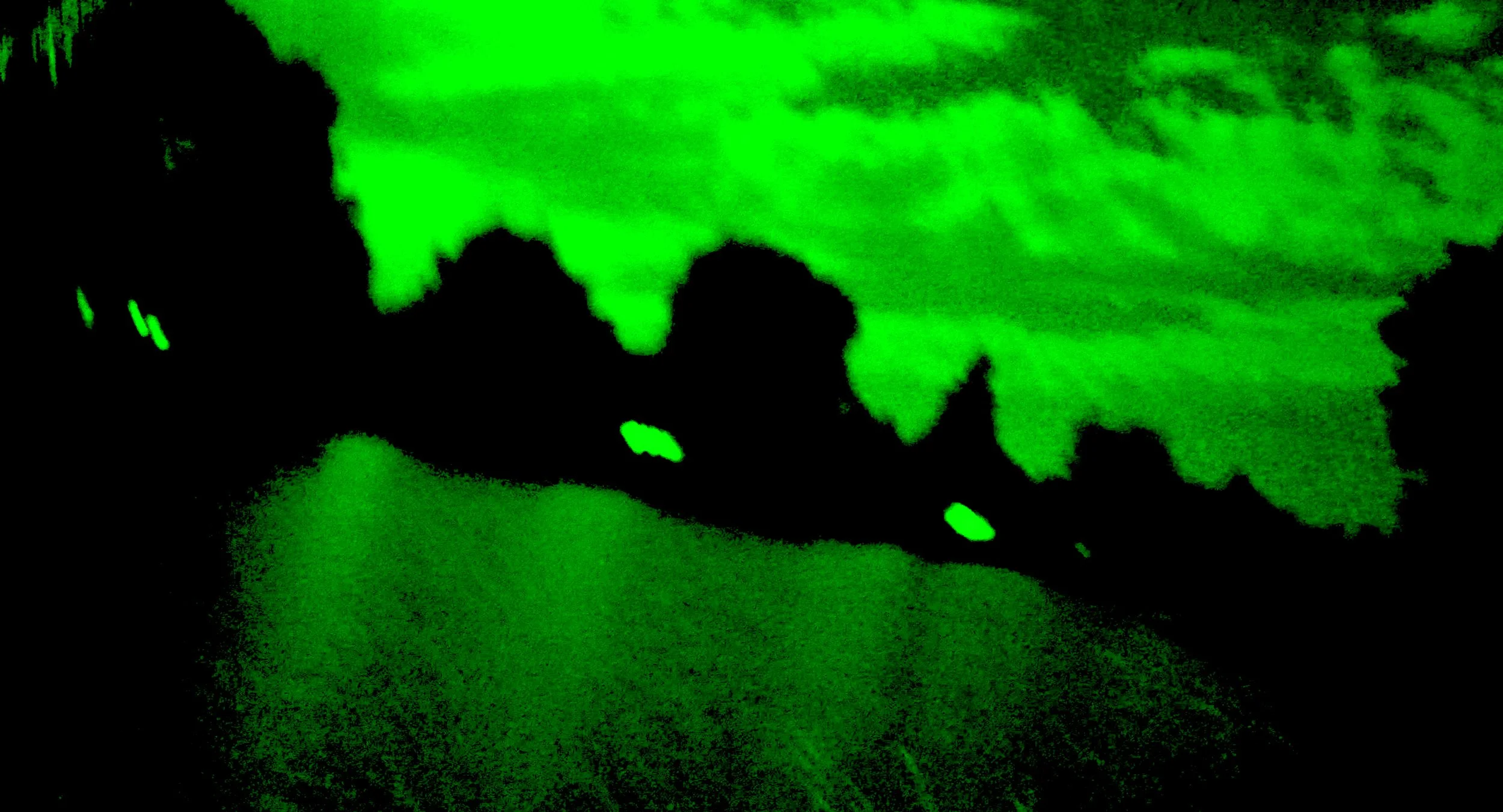 Sequence 01.00_23_48_10.Still007.jpg