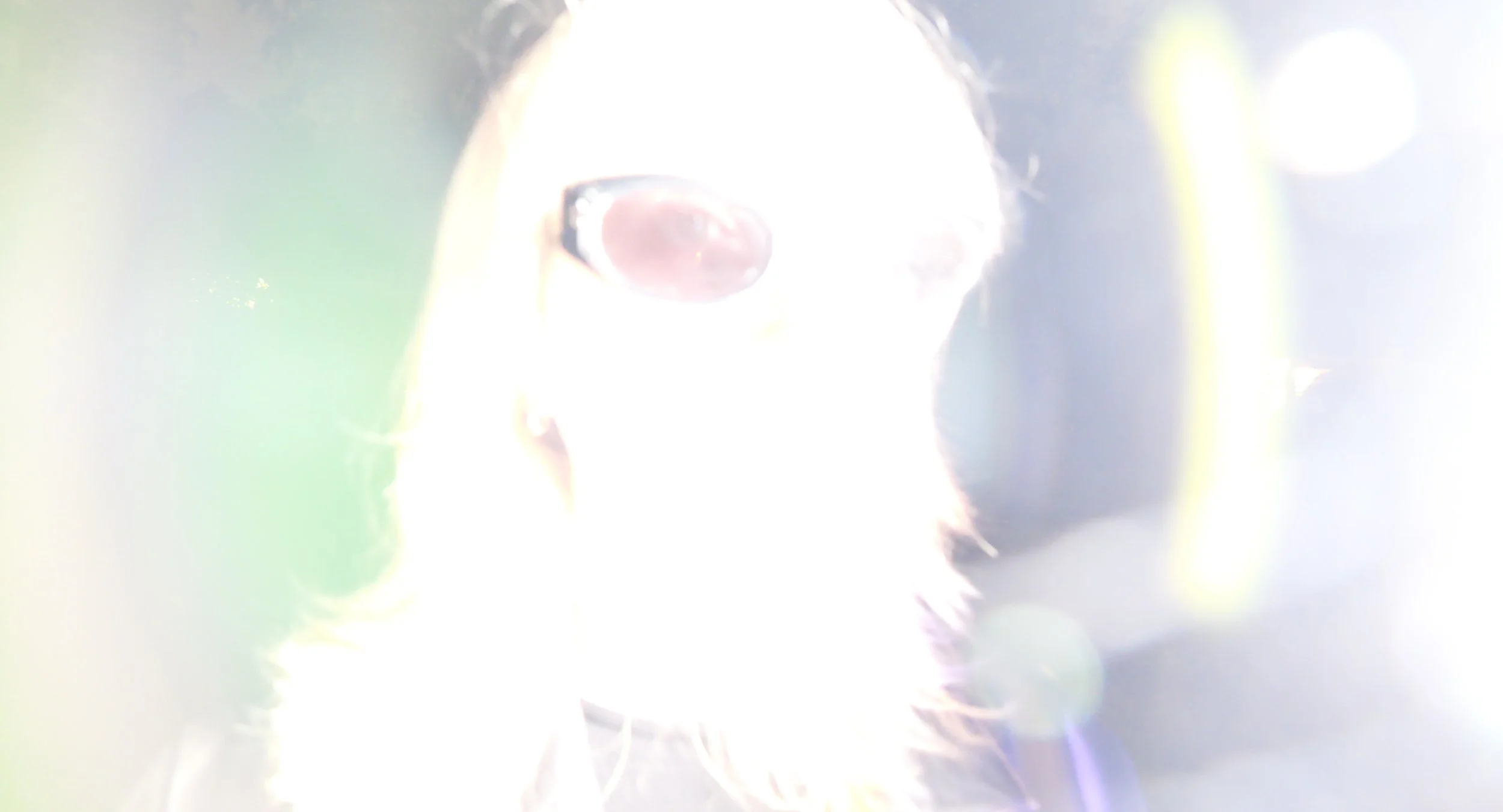 Sequence 01.00_32_33_04.Still003.jpg