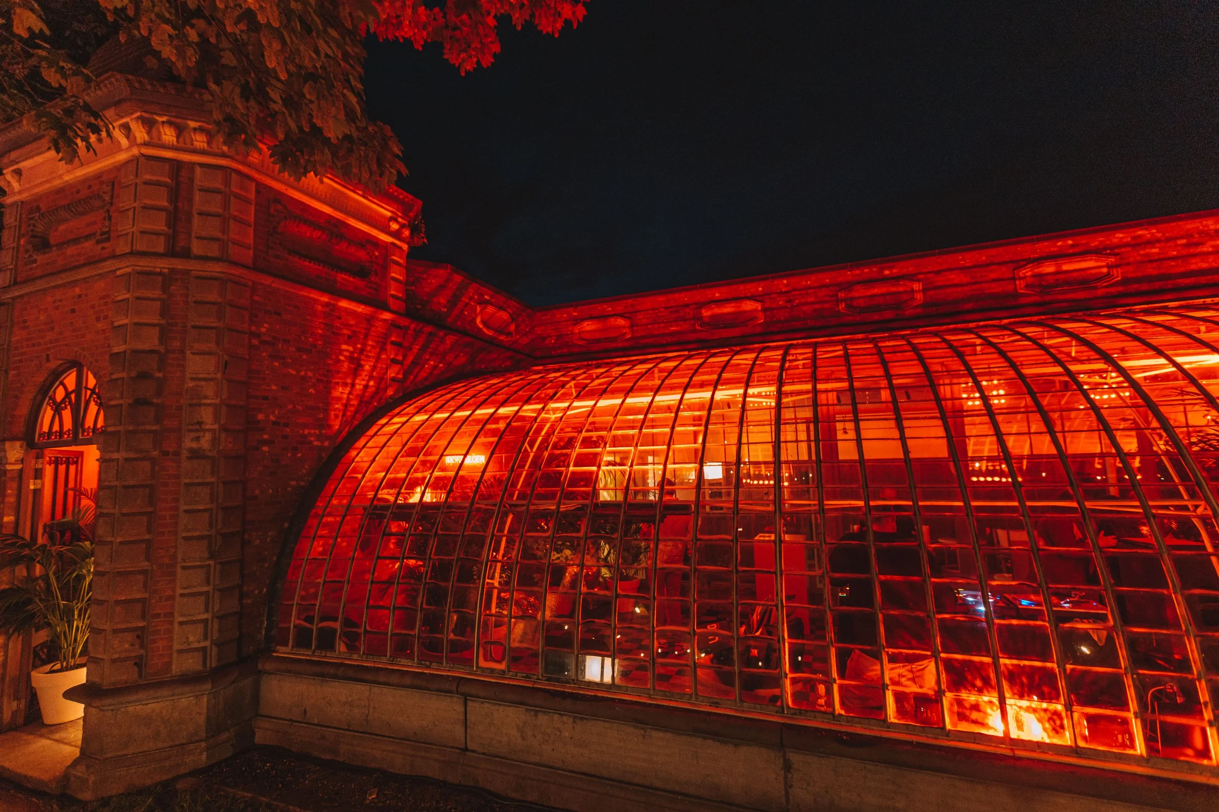 Bedrijfsevent in een verlichte serre — eventfotografie West-Vlaanderen