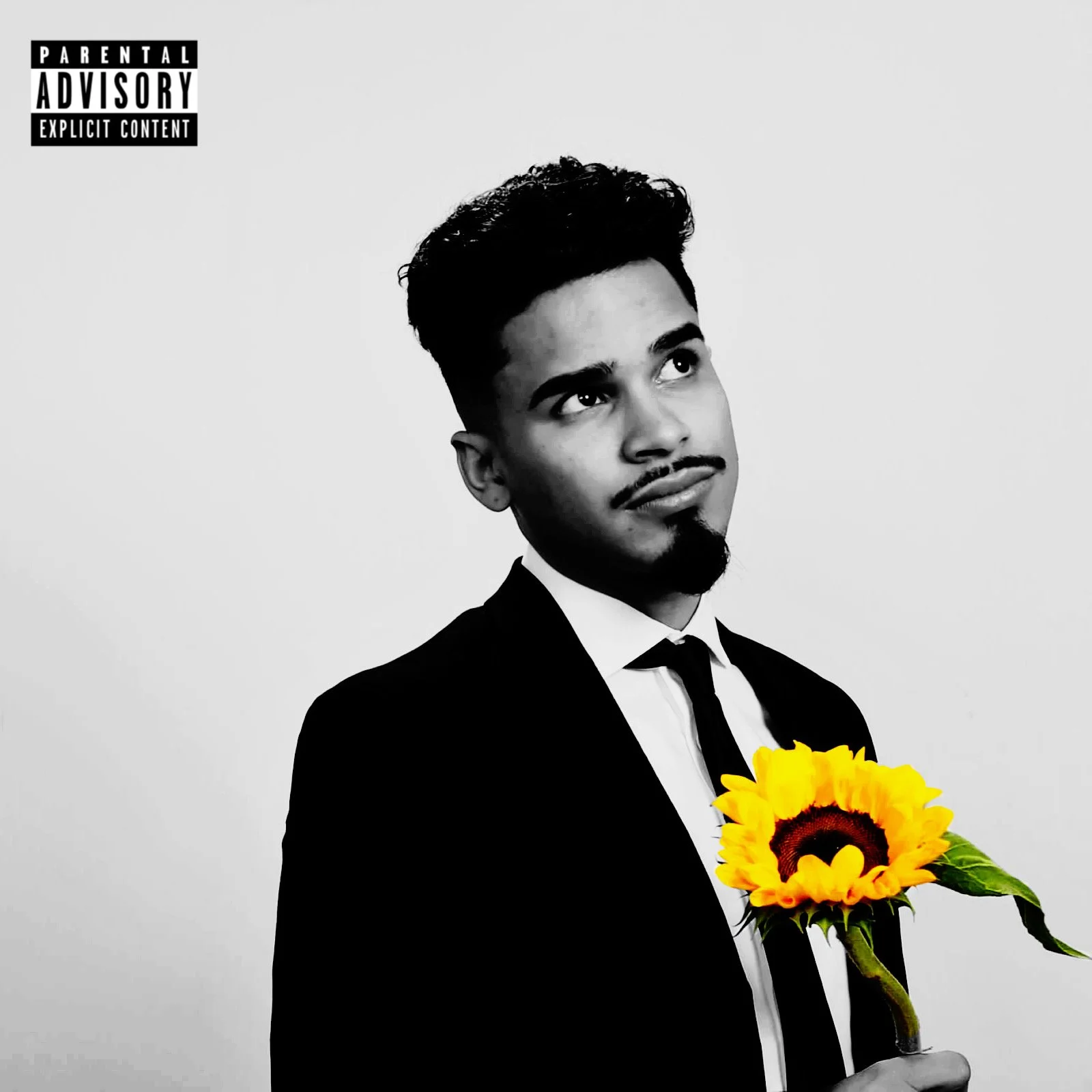 if i die tonight, im sorry.  (the album)
