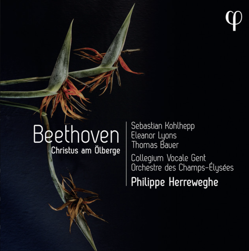 Dark album cover with a withered plant featuring long, pointed leaves and reddish-brown flowers or seed pods, and white text listing Beethoven's Christ on the Mount of Olives with performers and conductor.