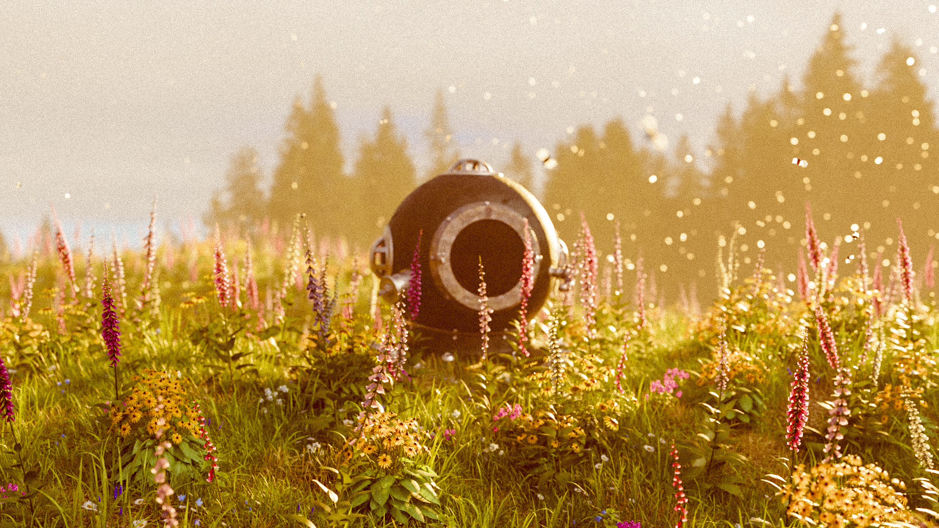 FieldDiverGraded-1.png
