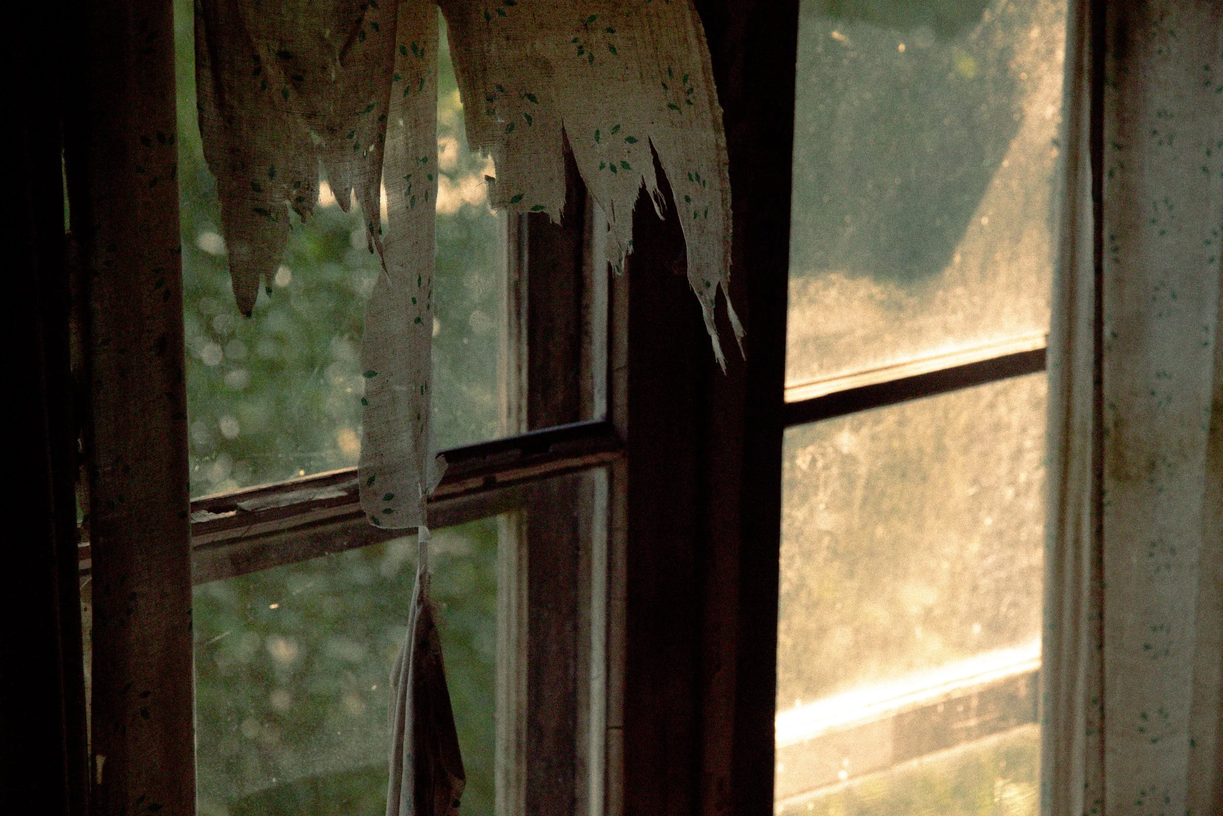 Photography