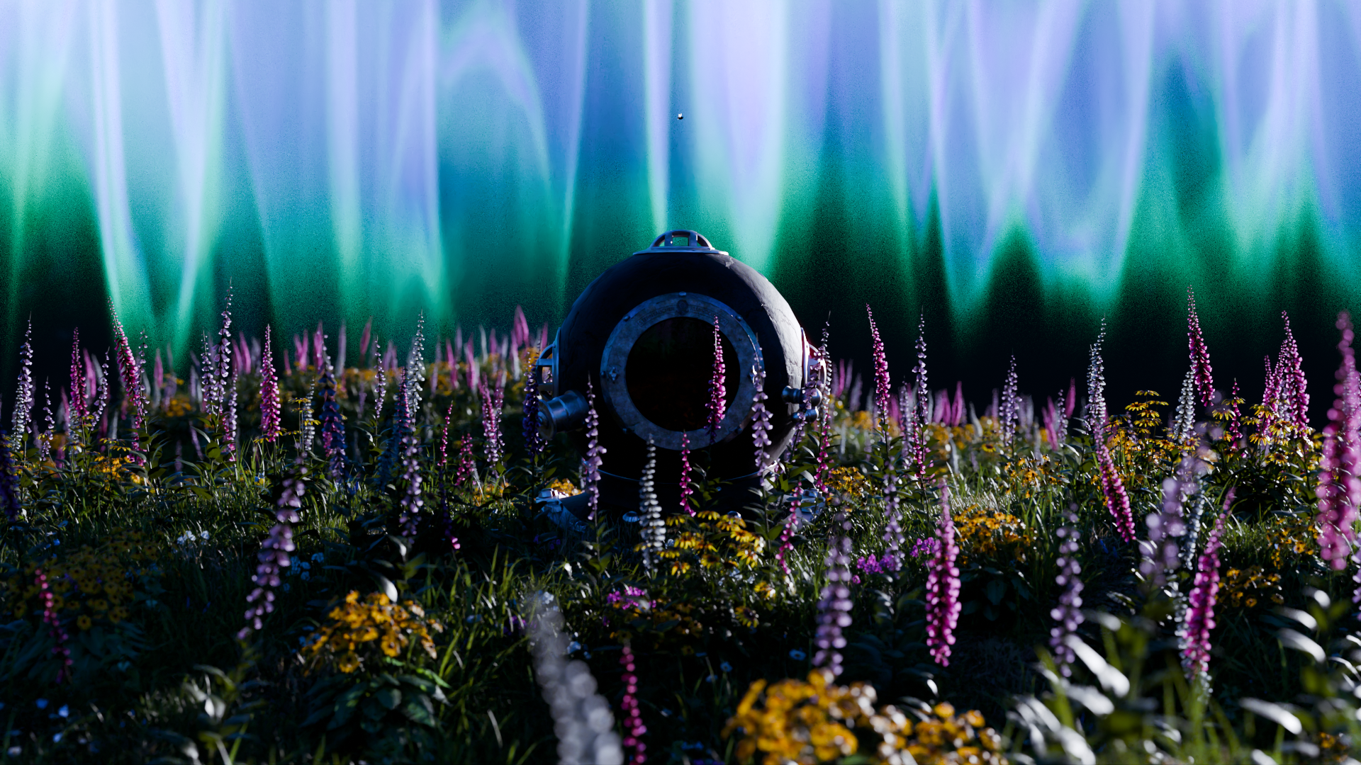 Field-05.png