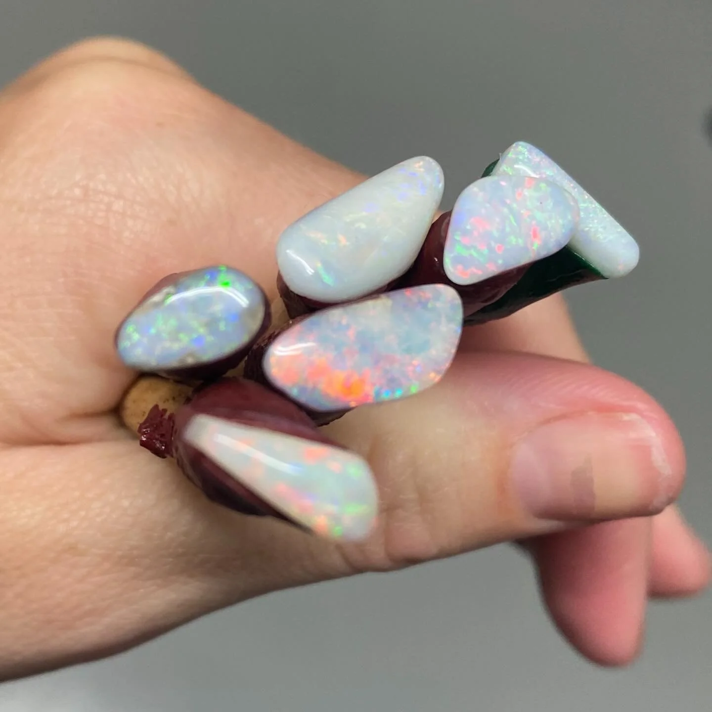Obsessed with opal bouquets!
#opal #australianopal #blackopal #solidopal