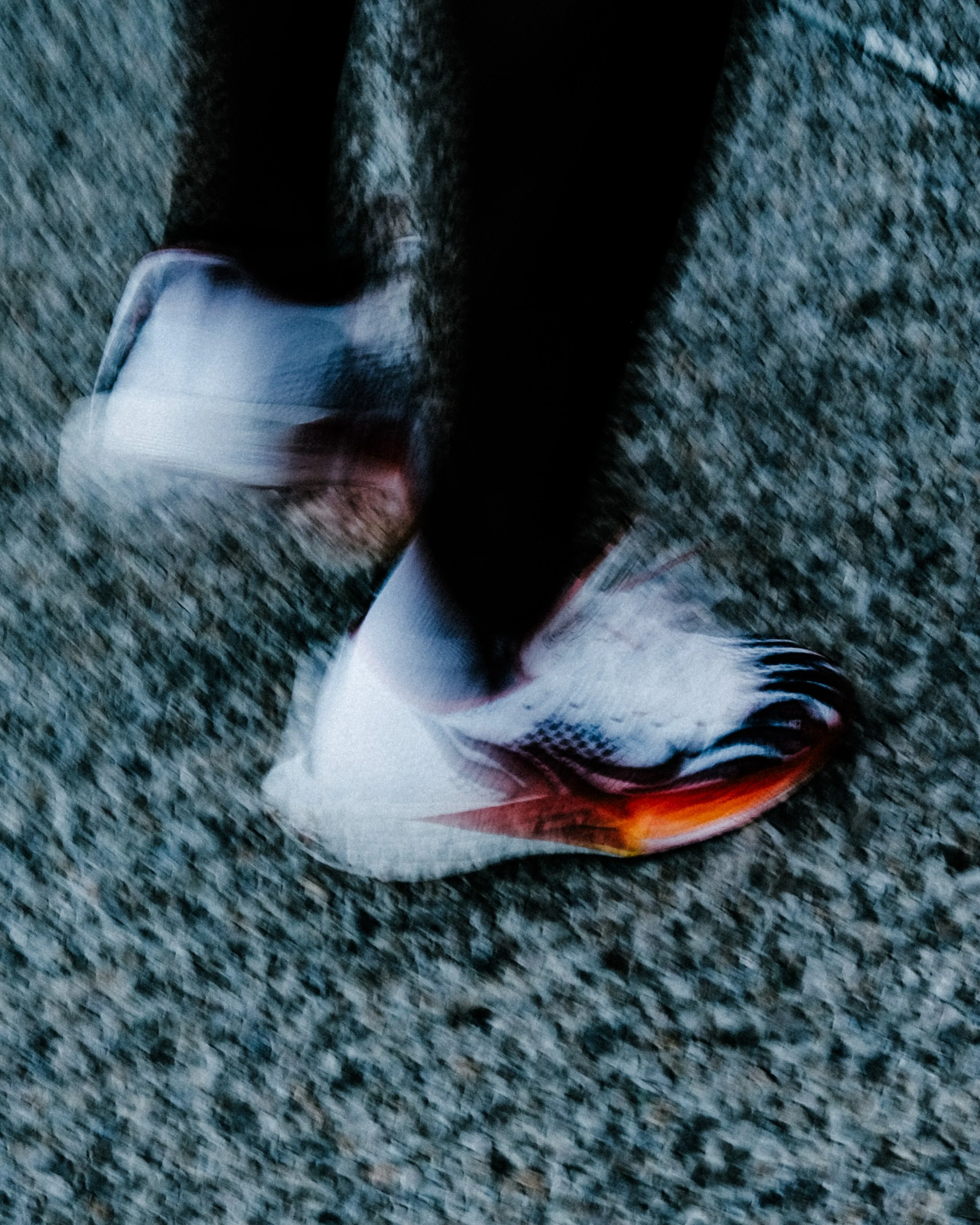 Une photo d'un poisson coloré, probablement un poisson rouge, posé sur un tapis gris foncé.