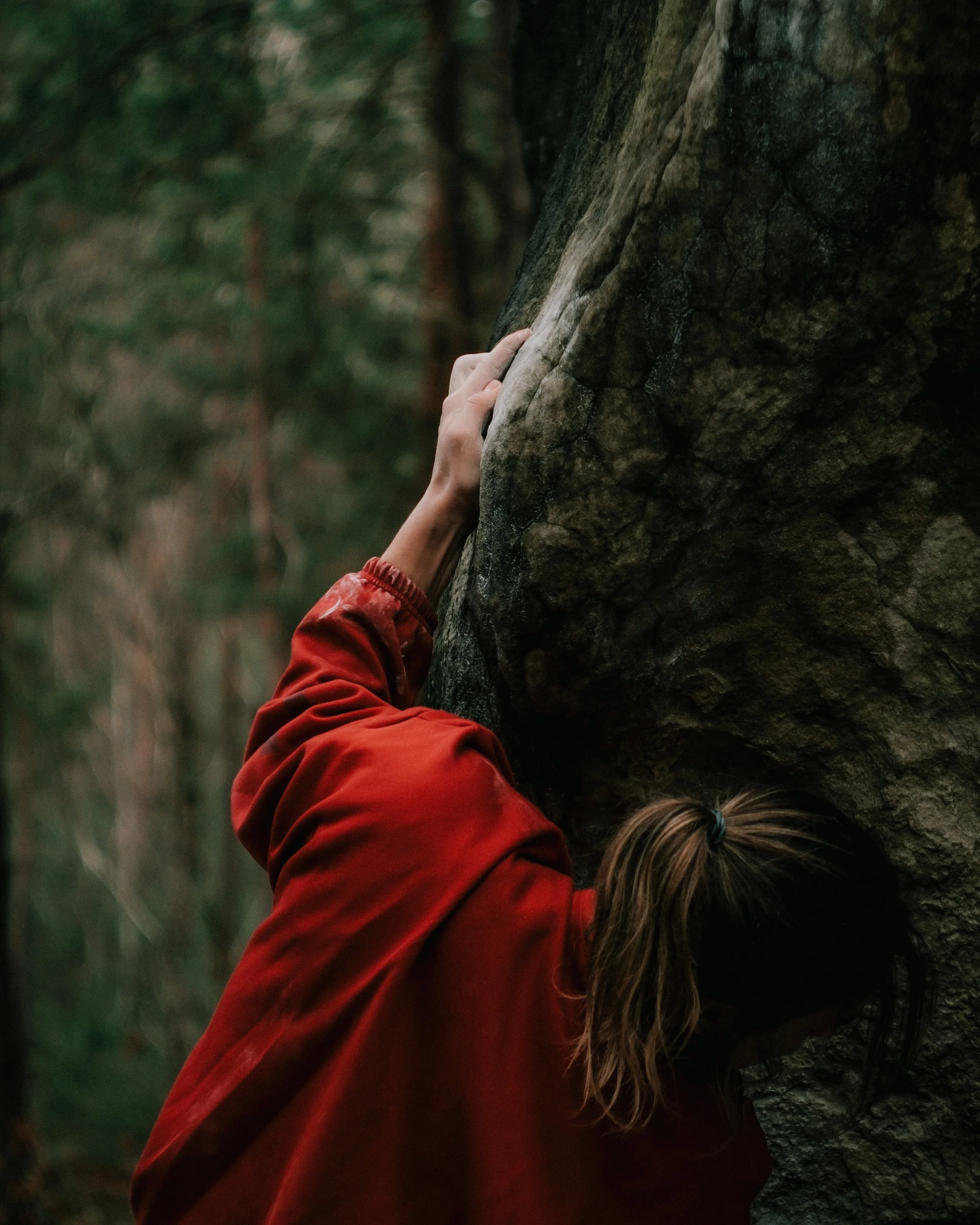 Une personne grimpe une falaise rocheuse dans une forêt dense avec des arbres verts en arrière-plan.