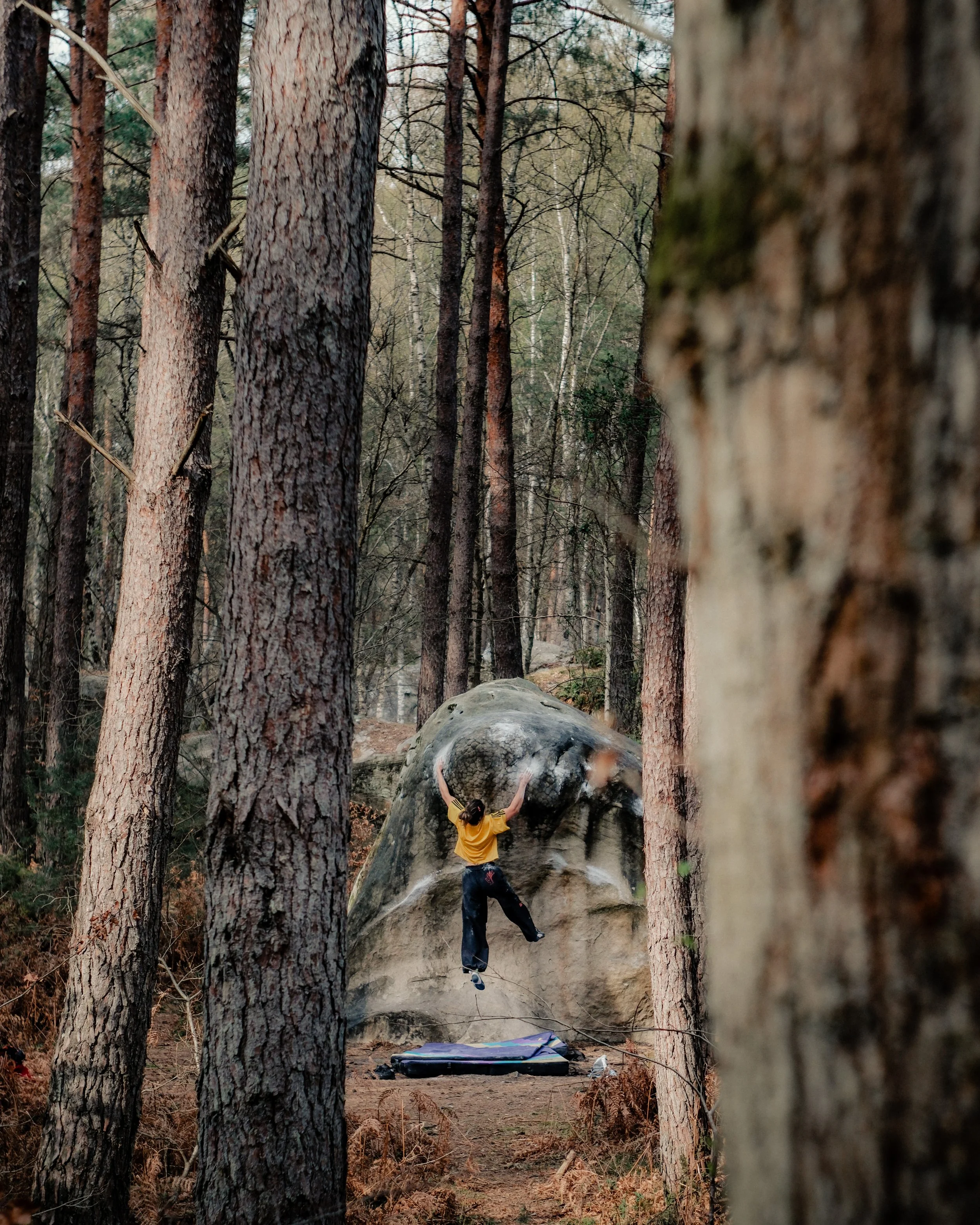 Une personne en haut d'un rocher dans une forêt, regardant vers le haut. La personne porte un t-shirt jaune et des vêtements de sport. La photo est prise à travers des arbres, encadrant la scène.