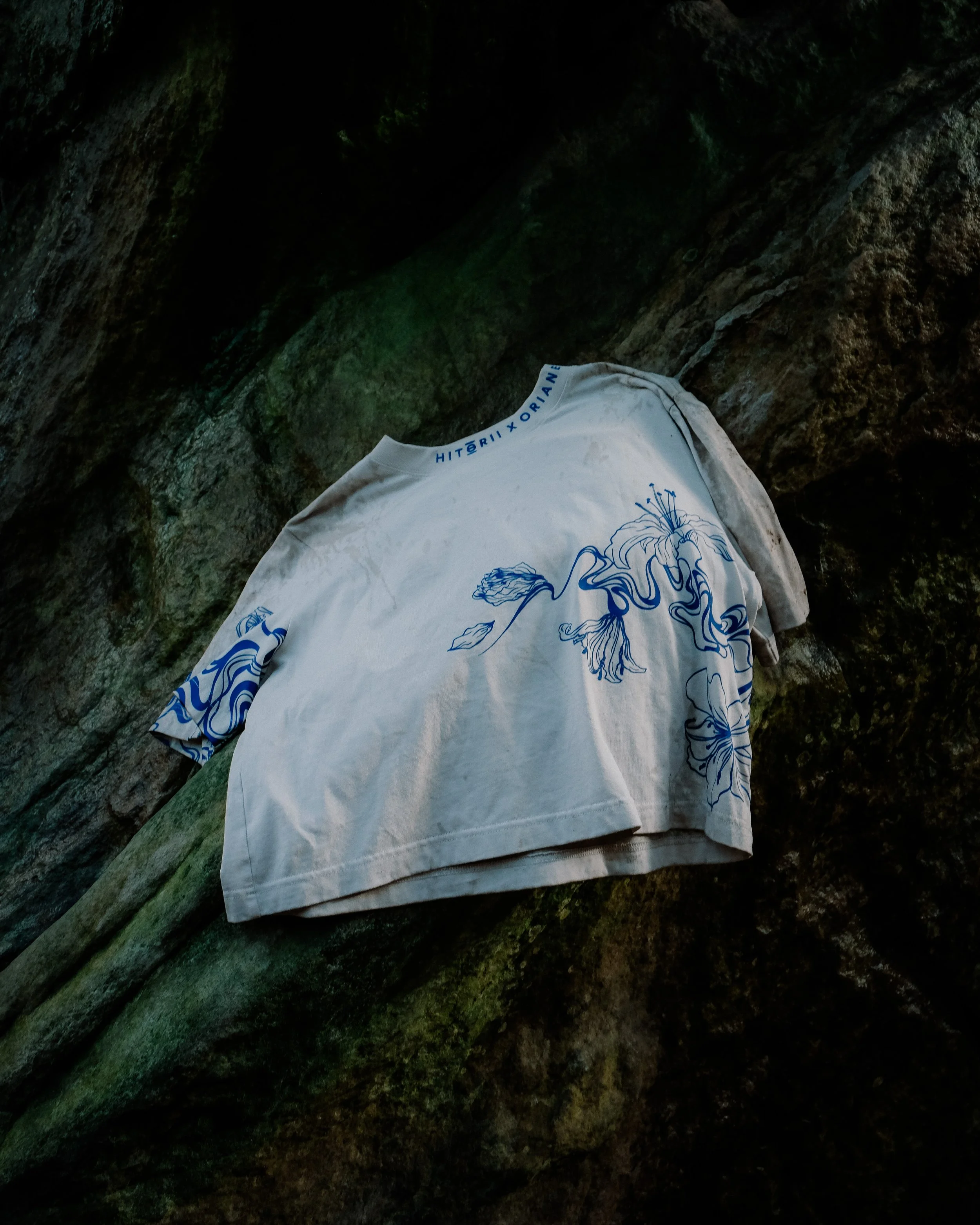 Une chemise blanche avec un dessin de fleur bleue et des inscriptions en anglais, suspendue à une surface rocheuse.