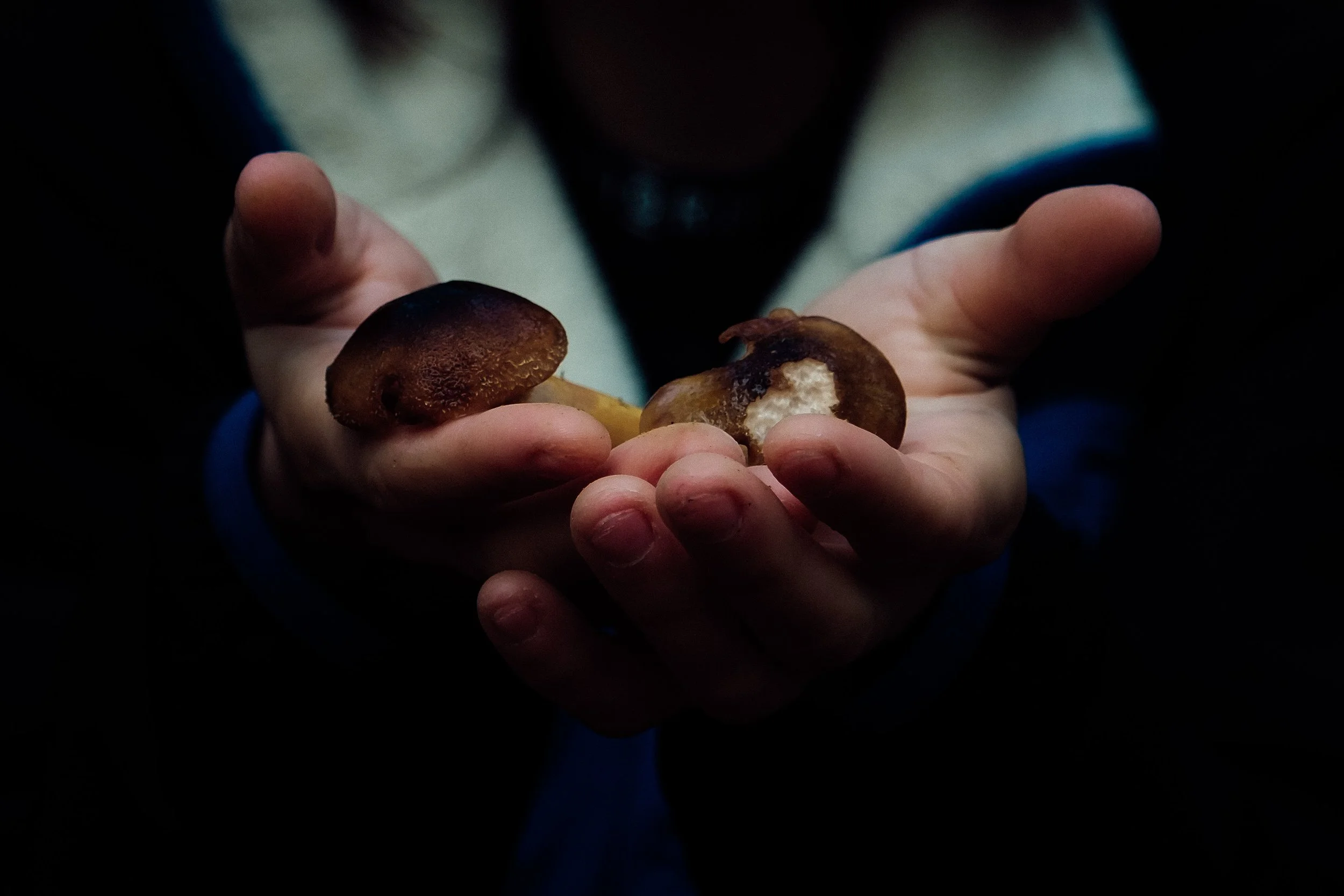 Une personne tient des champignons dans sa main, dans un environnement sombre.