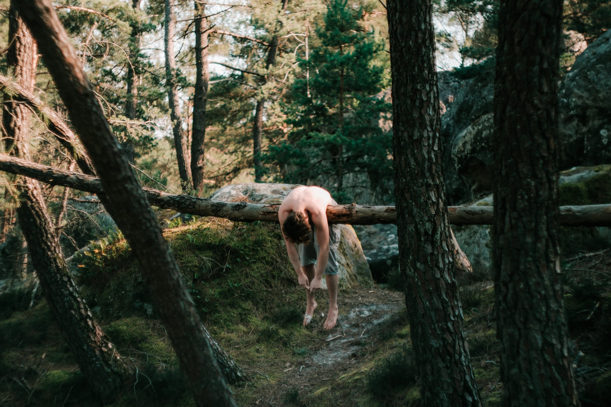 Une personne nue pendue à une branche d'arbre dans une forêt, avec un décor naturel de arbres et de roche.