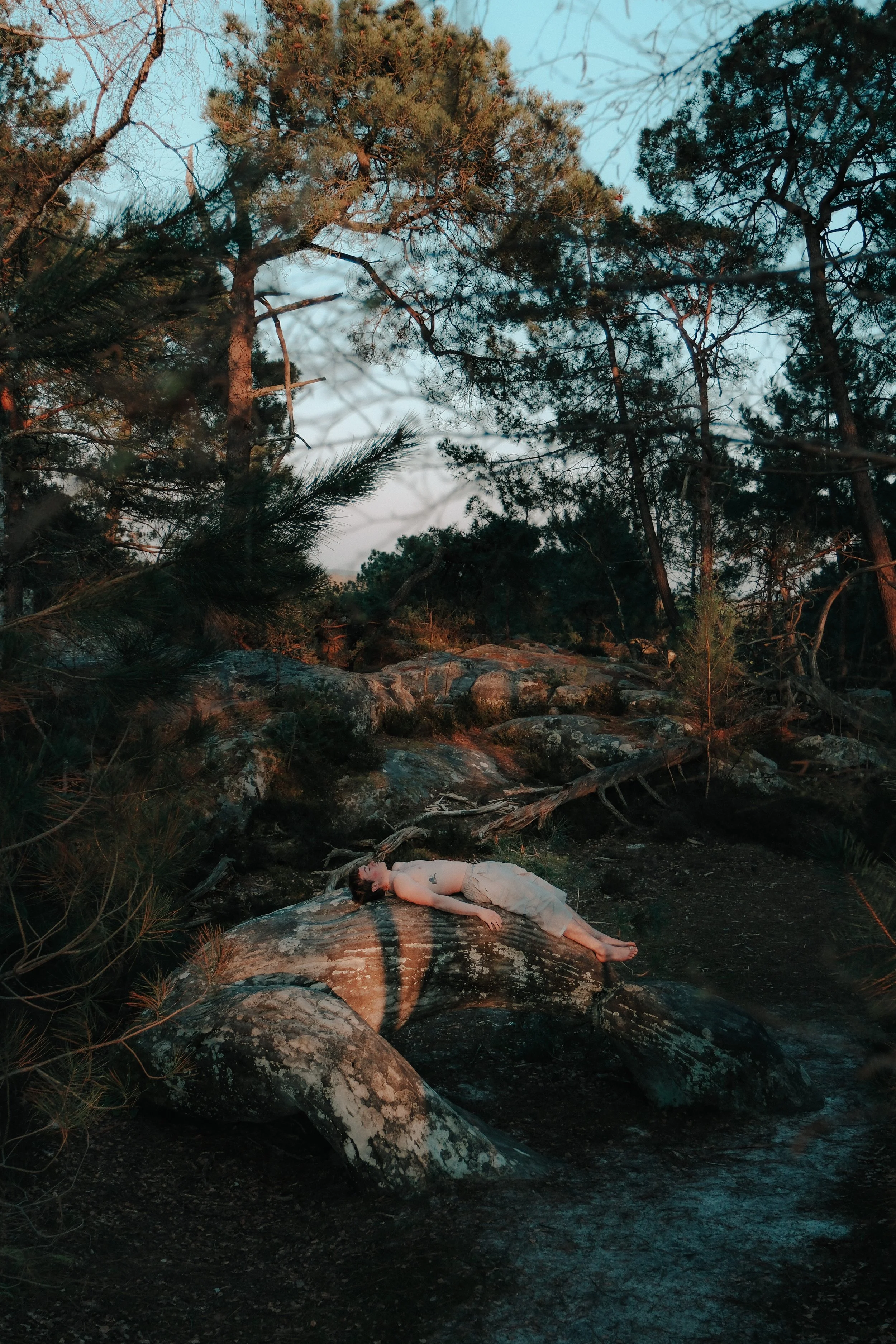 Une femme allongée sur un rocher dans une forêt avec des arbres en arrière-plan, au coucher du soleil.