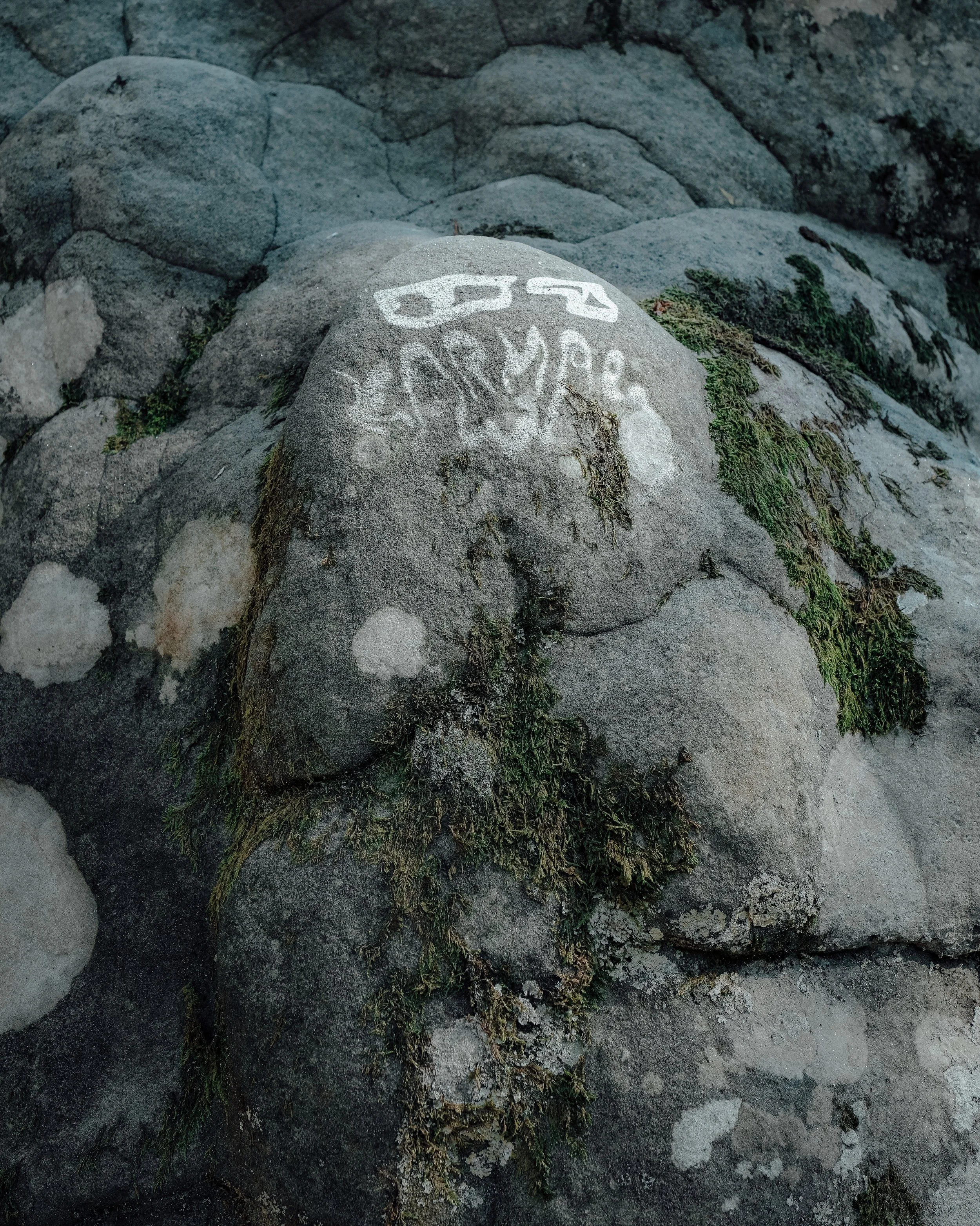 Roches de la plage avec graffitis en blanc, un des graffitis semble représenter un visage ou un symbole. Moss ou algues vertes poussent entre les pierres.