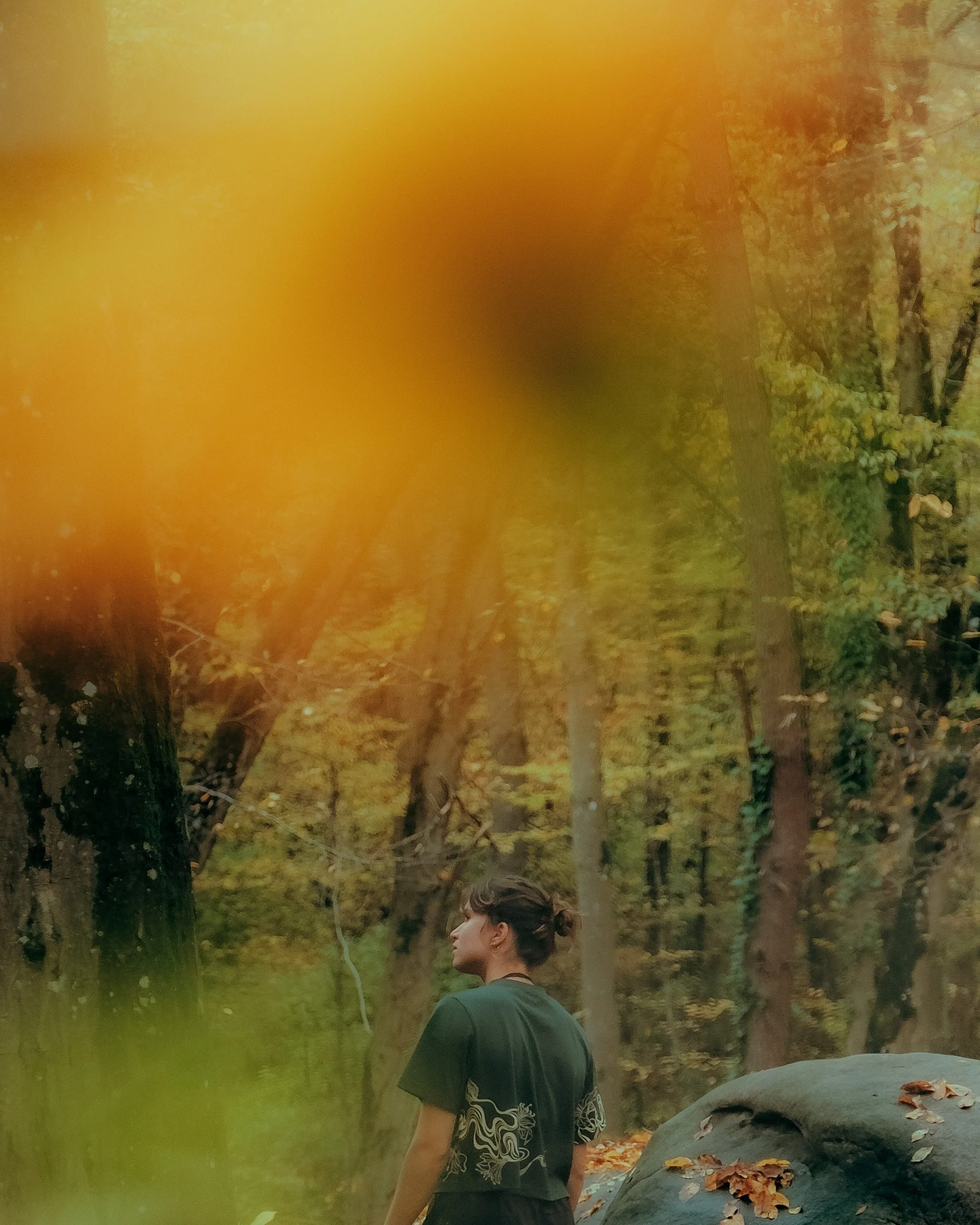 Une personne avec des cheveux attachés regarde vers la gauche dans un parc avec des arbres aux feuilles orange et vertes, des rochers et des feuilles tombées au sol, en automne.