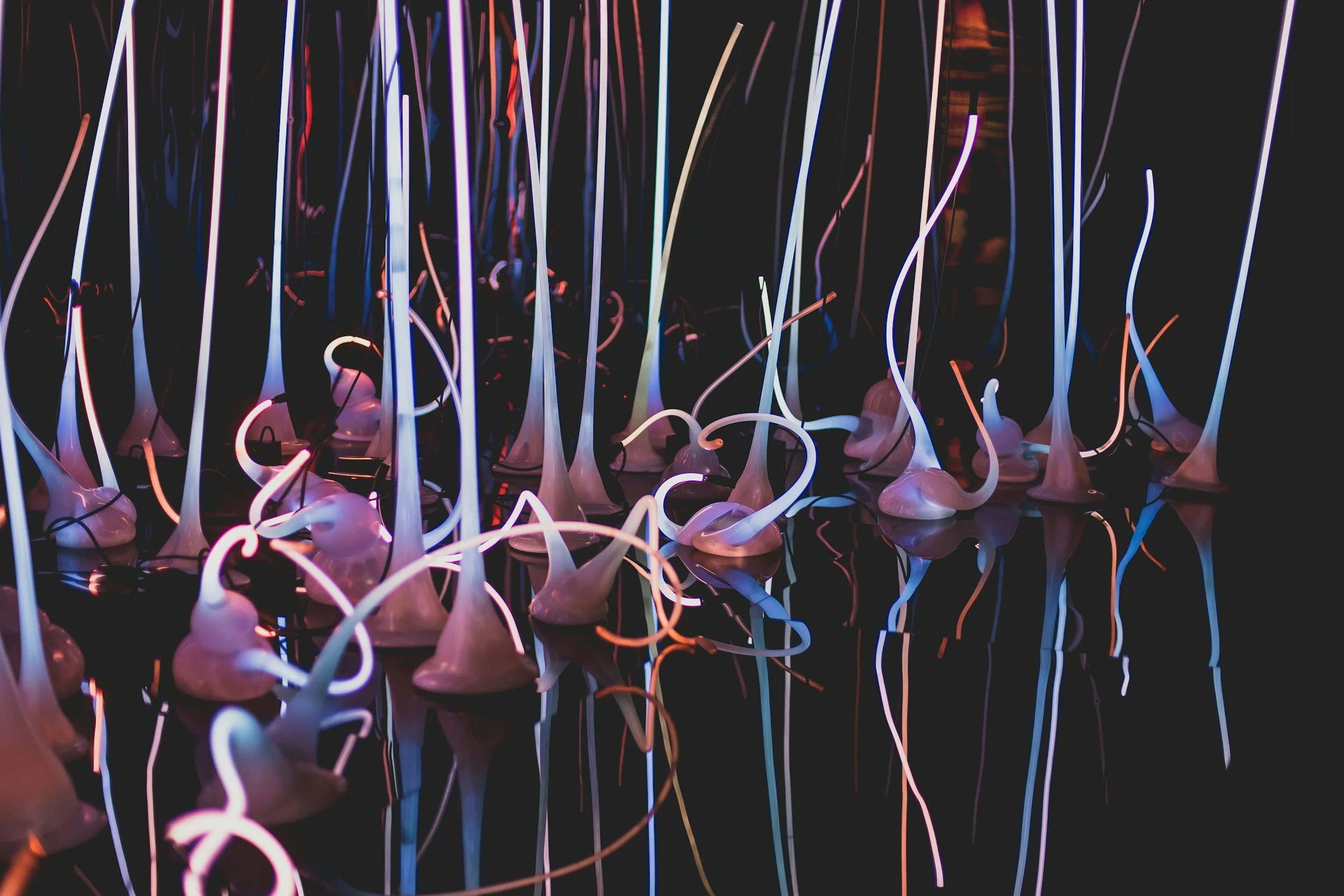 Colorful neon lights and abstract shapes creating an artistic display.